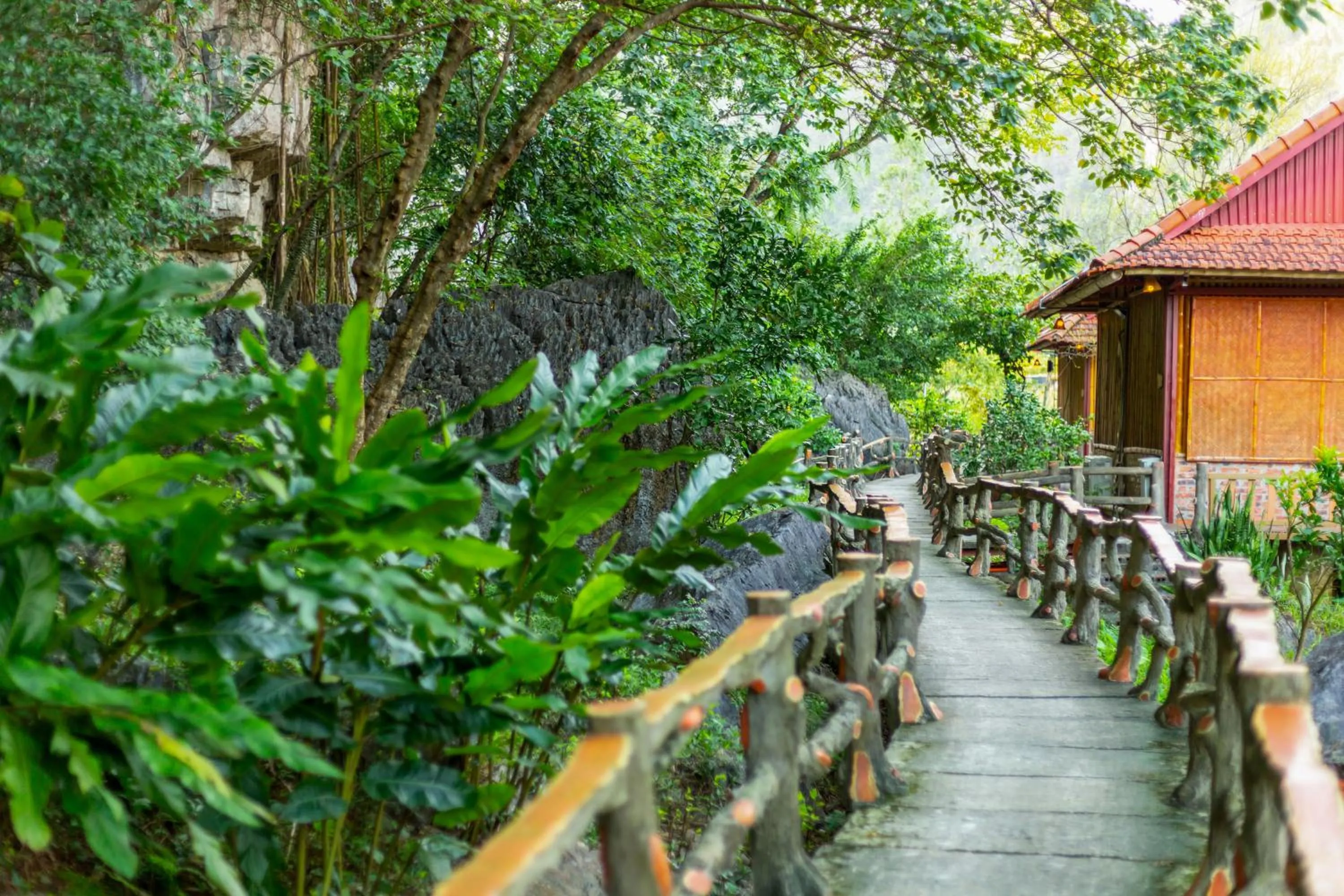 Day in Lotus Field Homestay