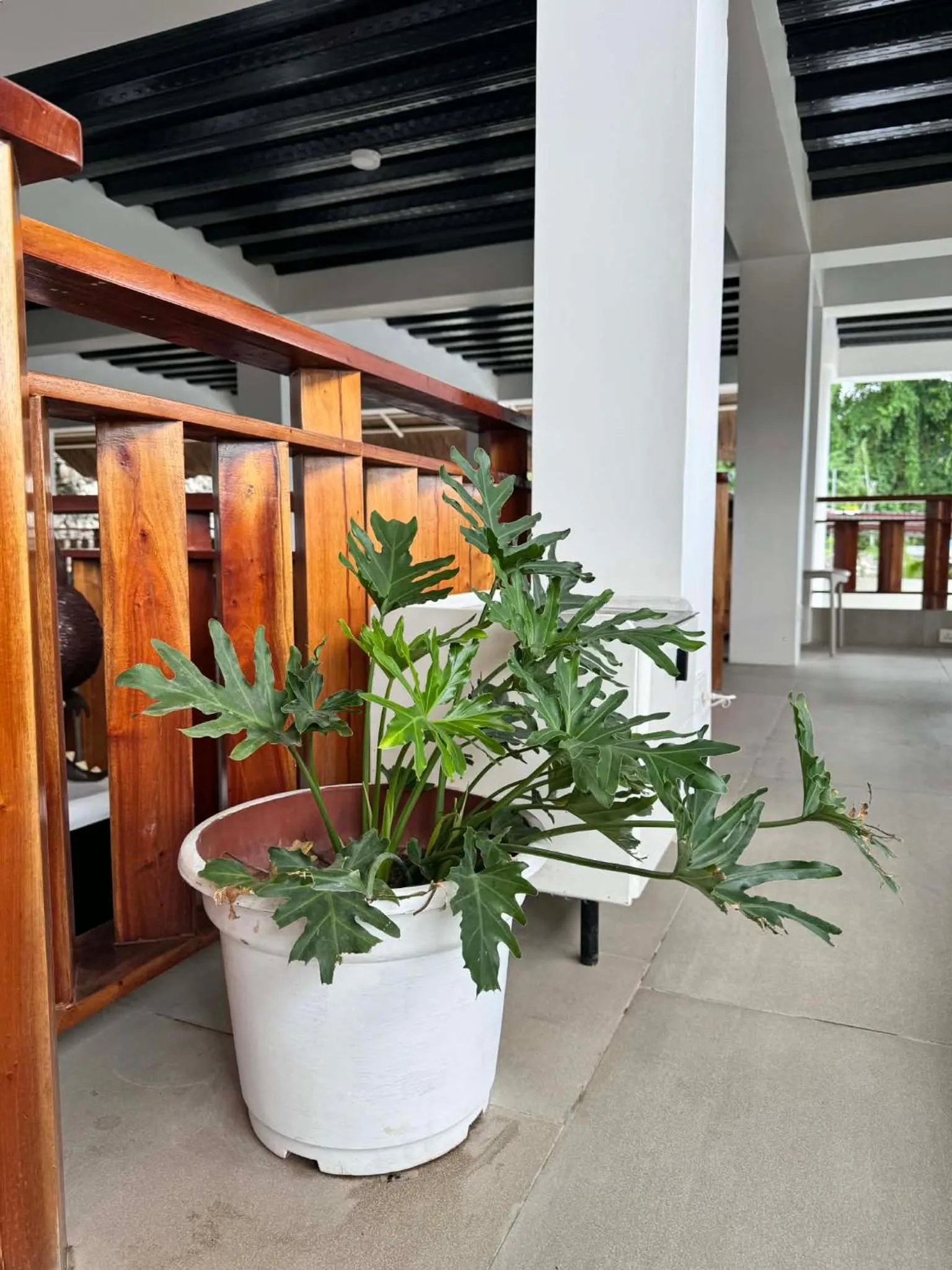 Bohol Coastal View Hotel