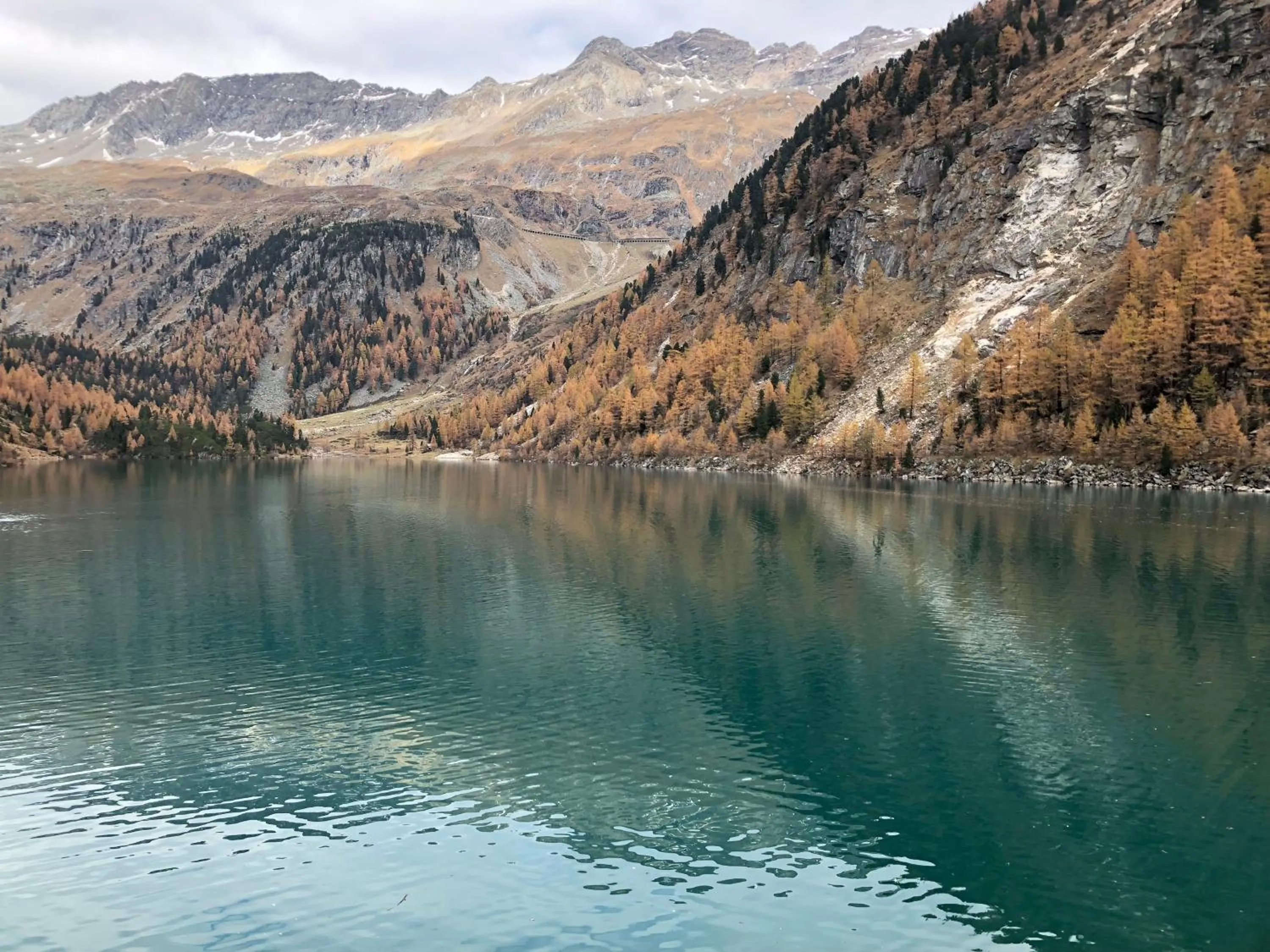 Natural landscape in Hotel Flattacher Hof