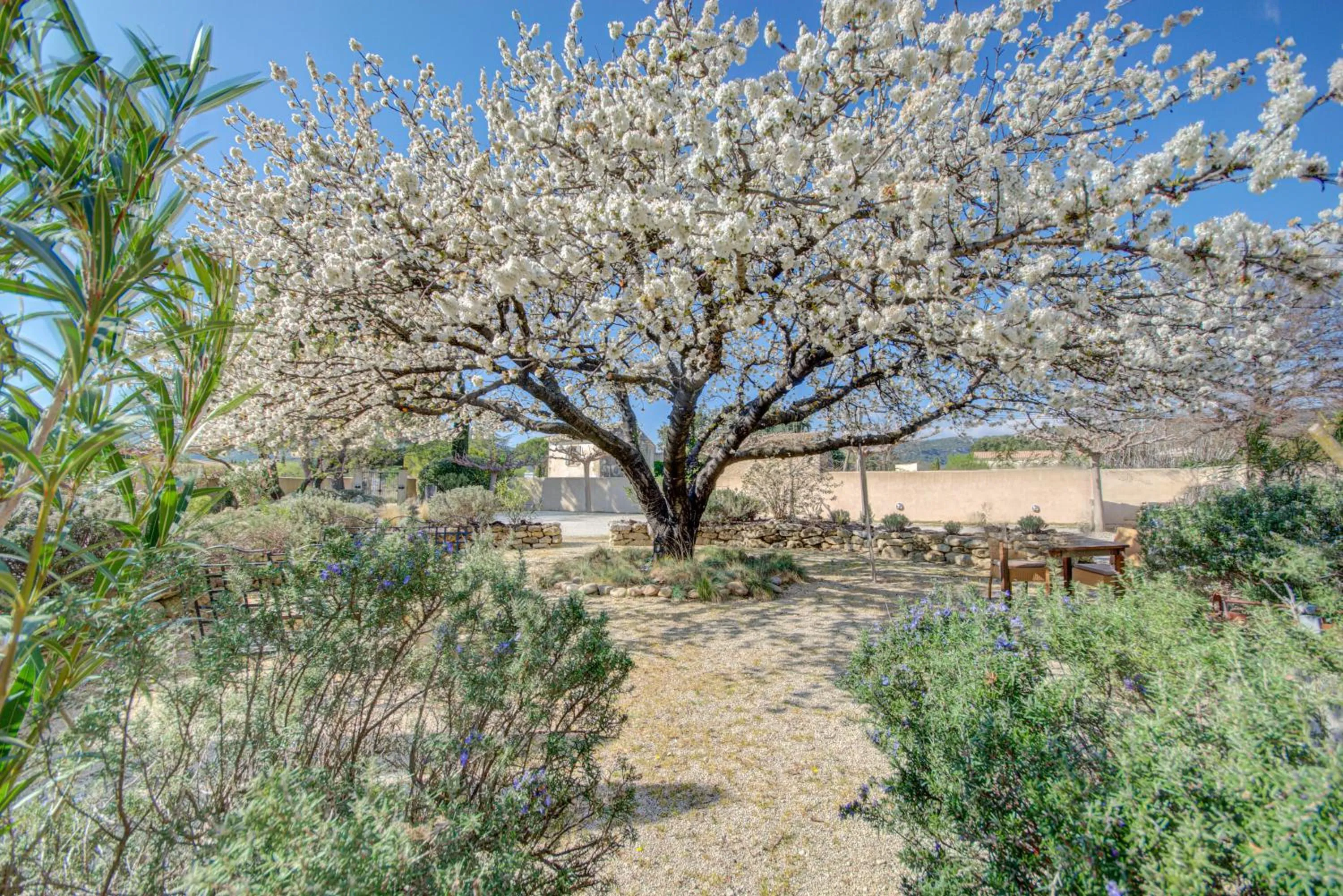 Natural landscape in Hotel Bastide & SPA - Villa de Lourmarin