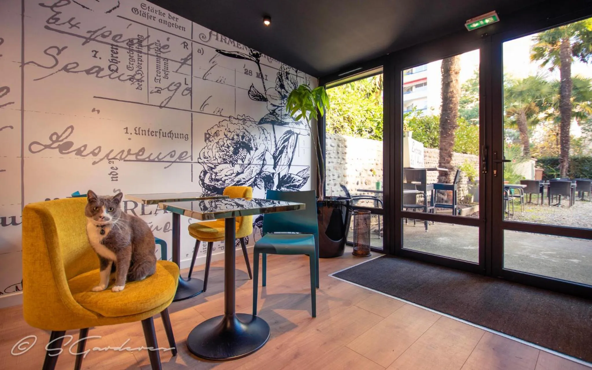 Lobby or reception in Hôtel Montilleul - Villa Primrose