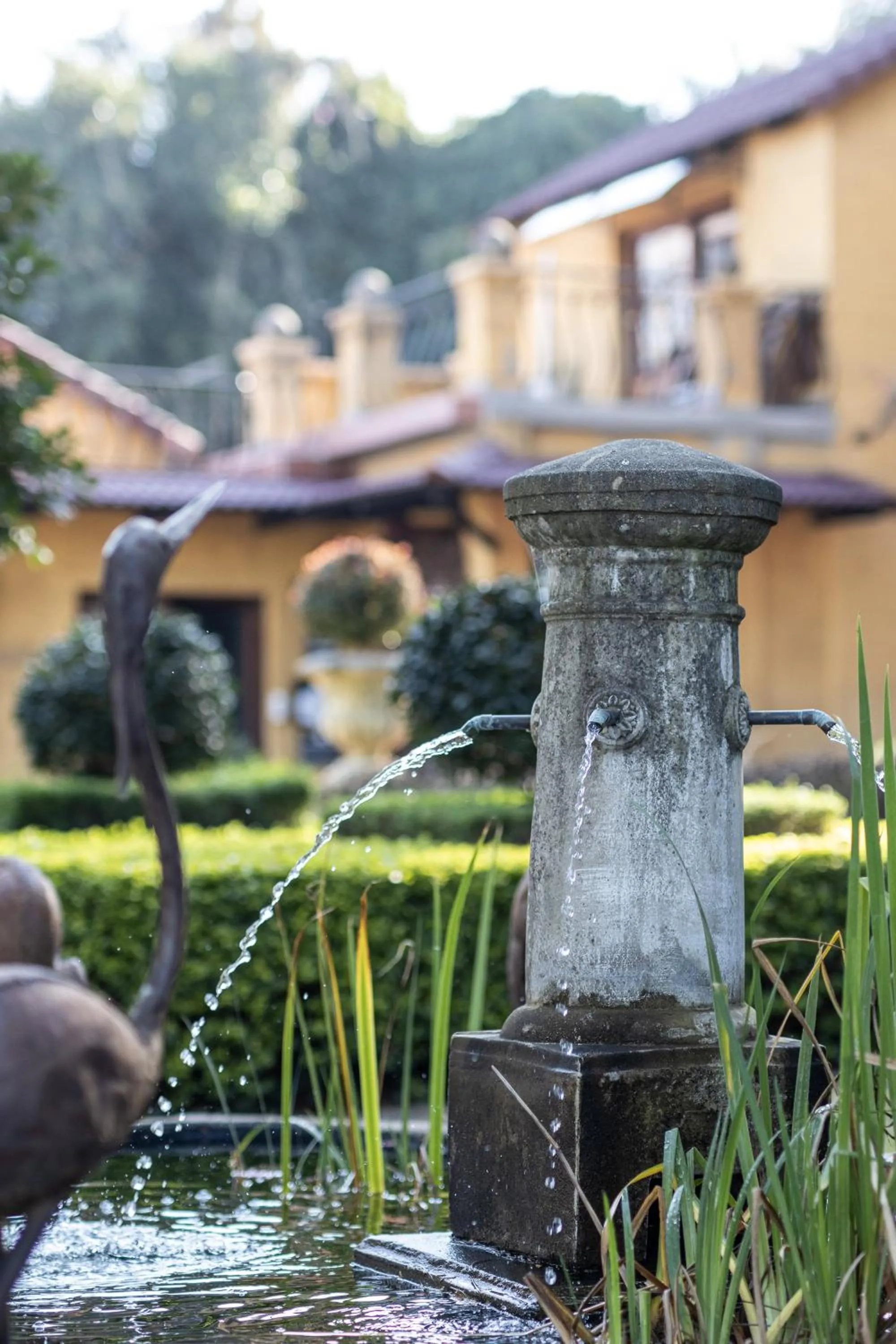 Garden in The Tuscan Garden