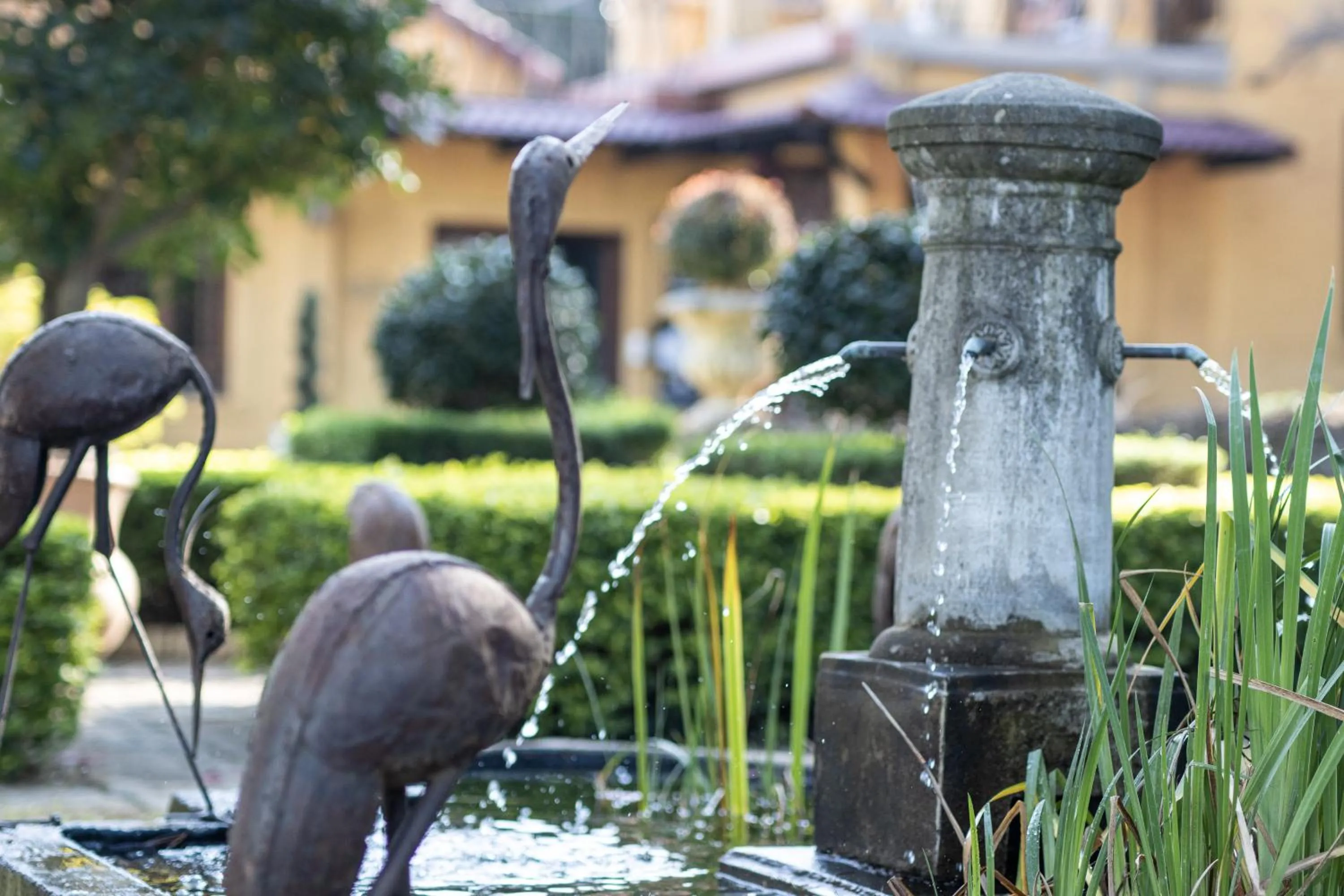 Garden view in The Tuscan Garden