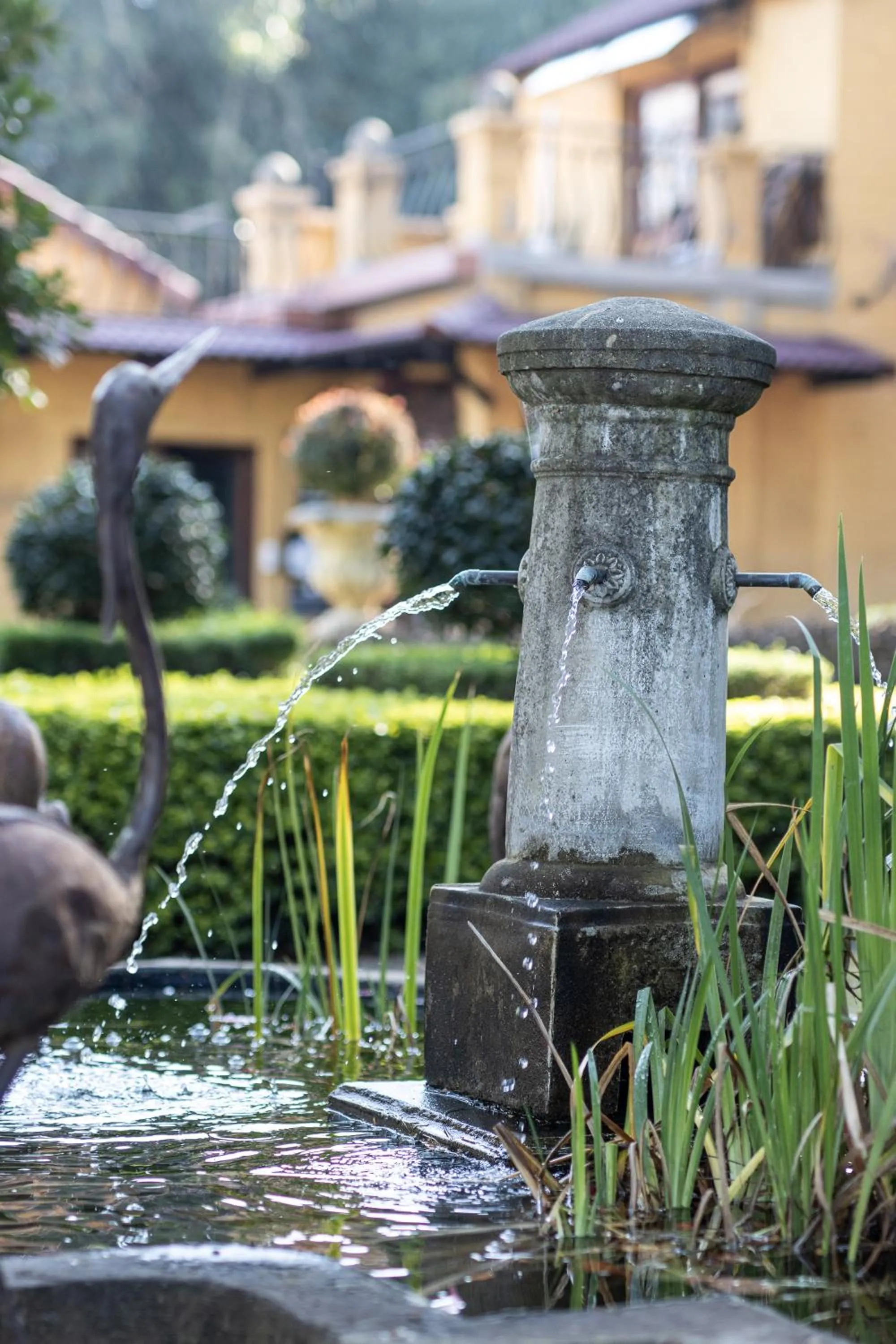 Garden in The Tuscan Garden