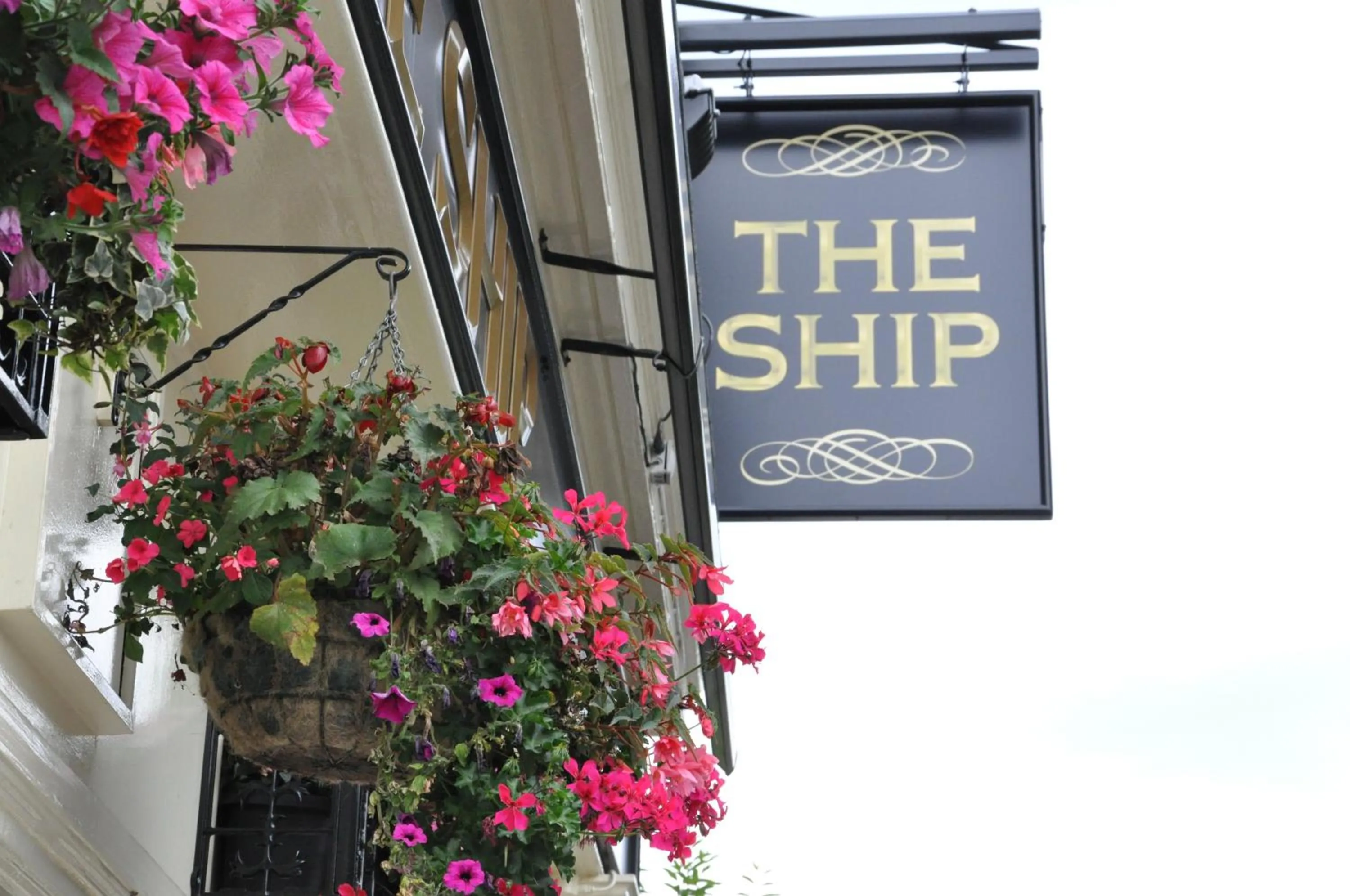 Logo/Certificate/Sign in The Ship Inn