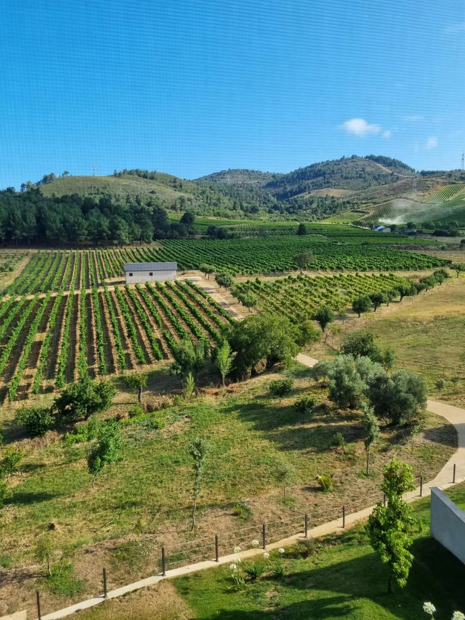 View (from property/room) in Boutique Finca esencial Hotel Rural