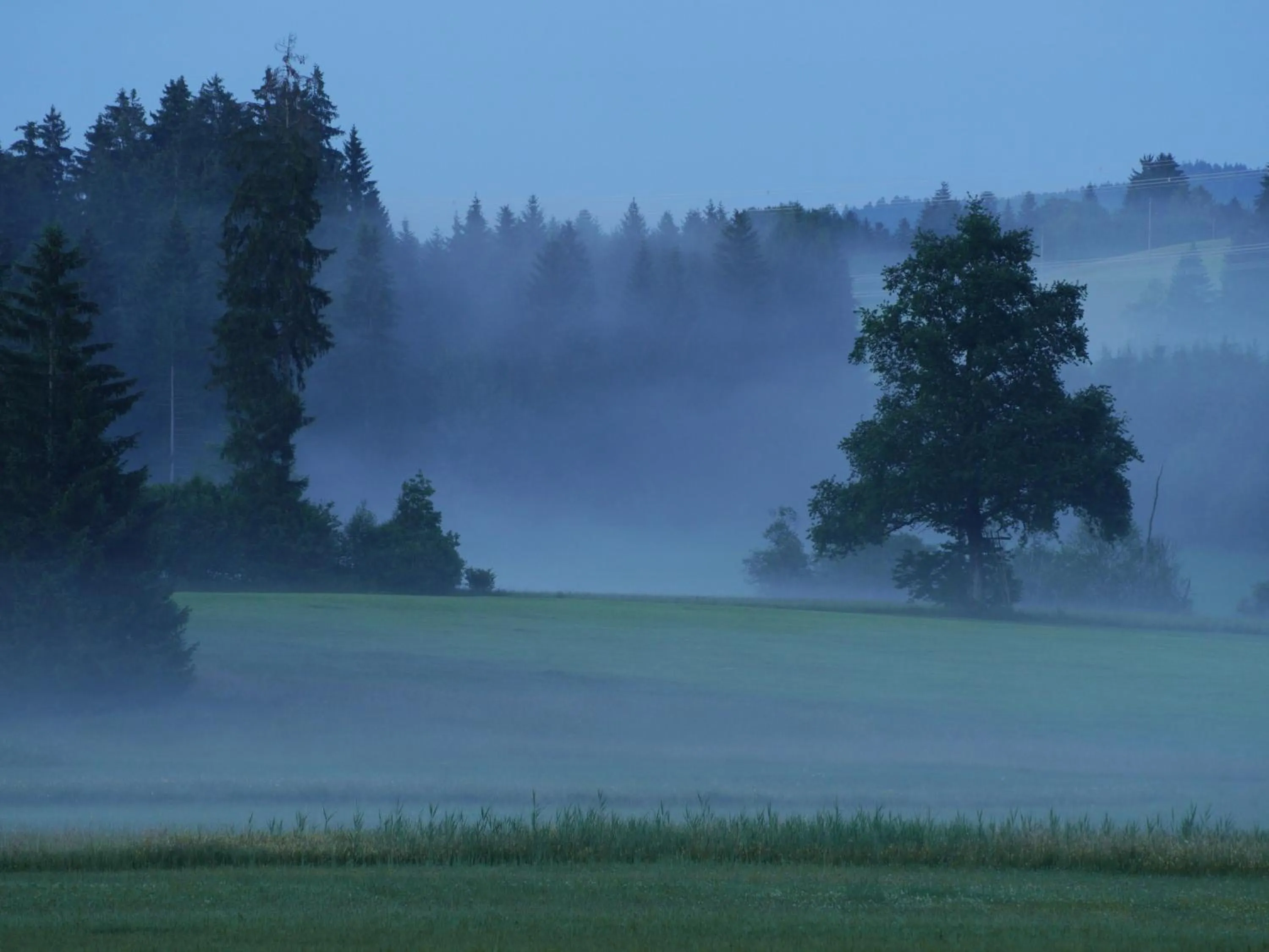 Natural landscape in Hotel Bergblick