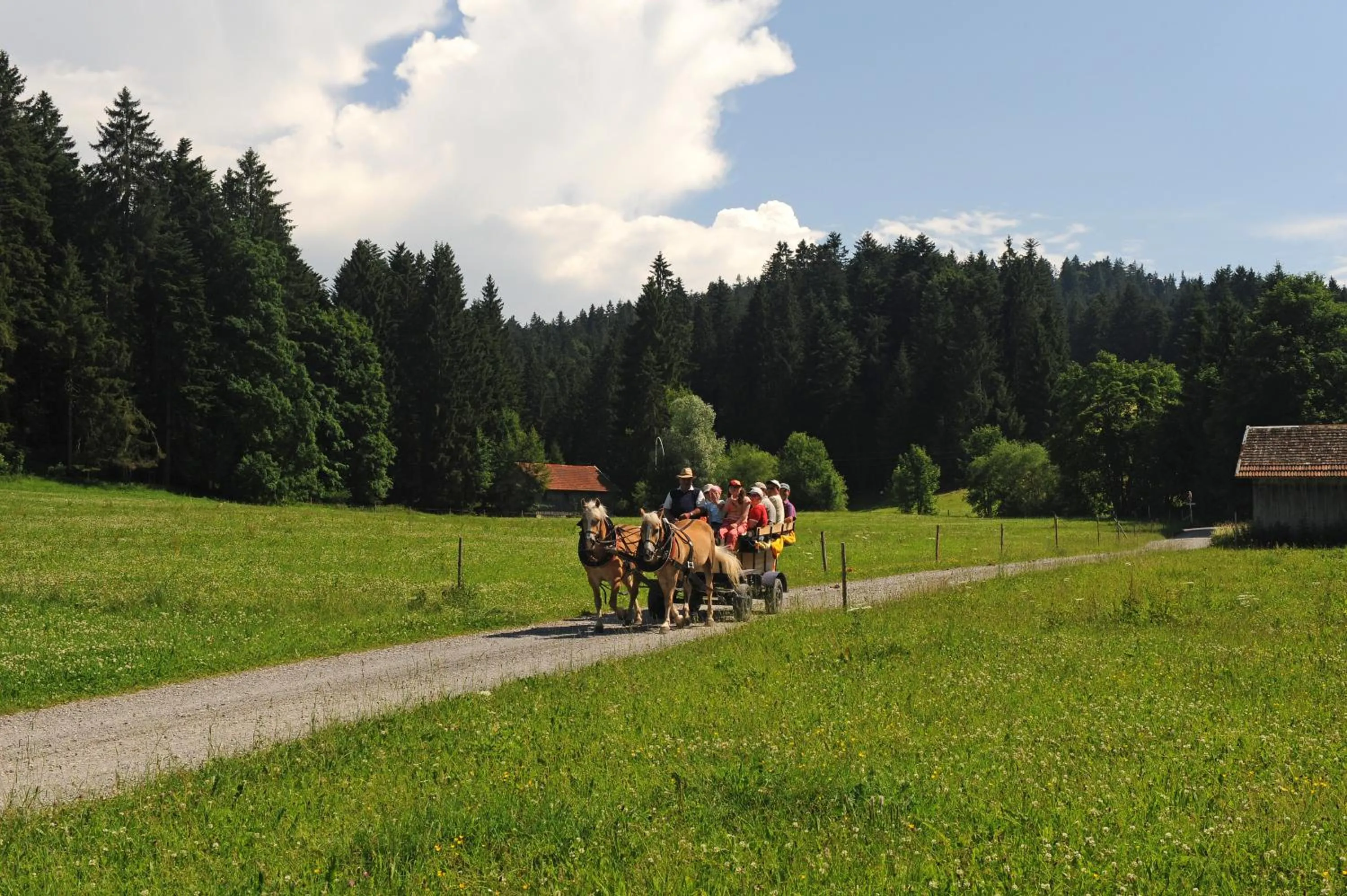Other in Hotel Bergblick
