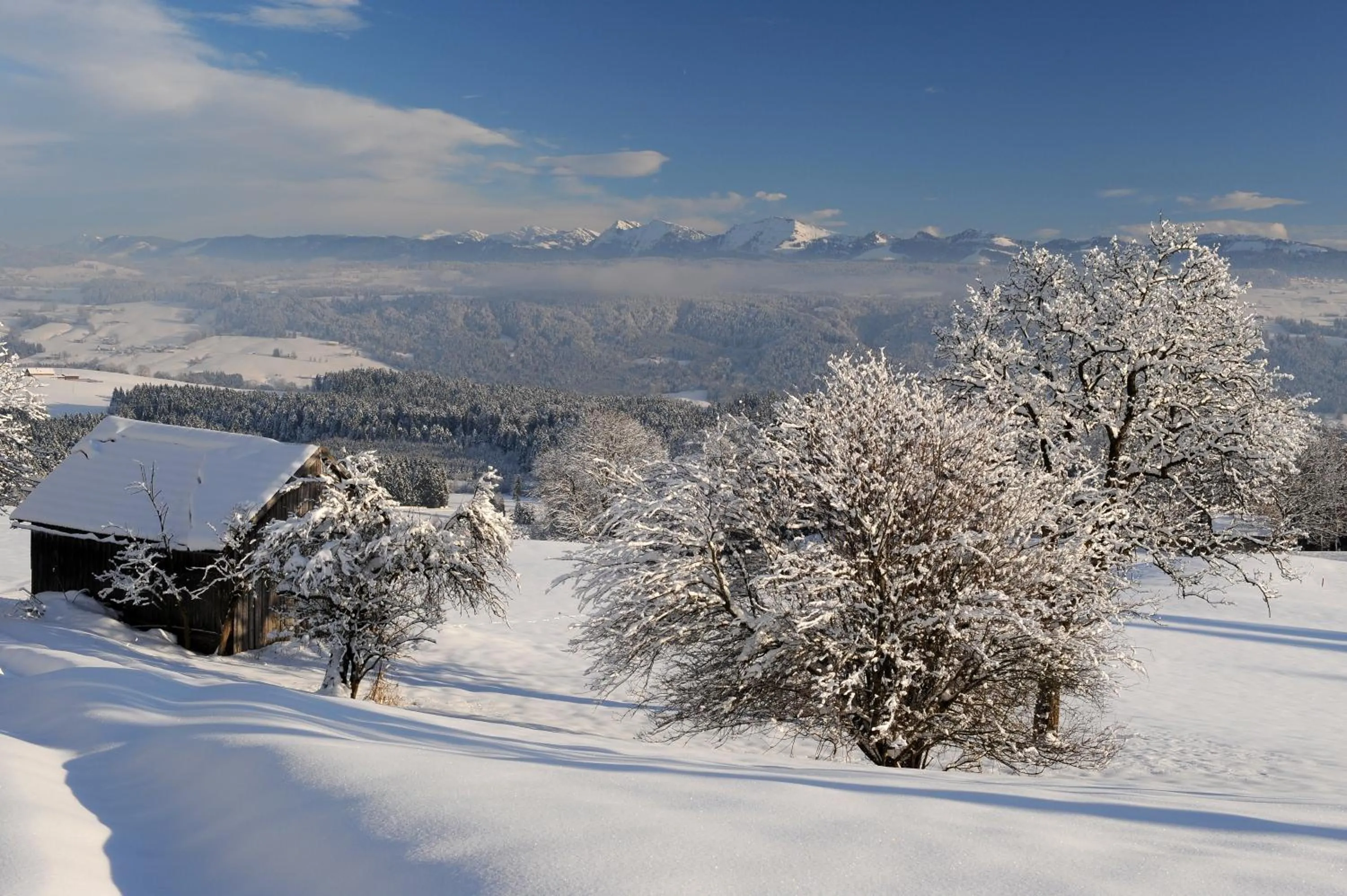 Natural landscape in Hotel Bergblick