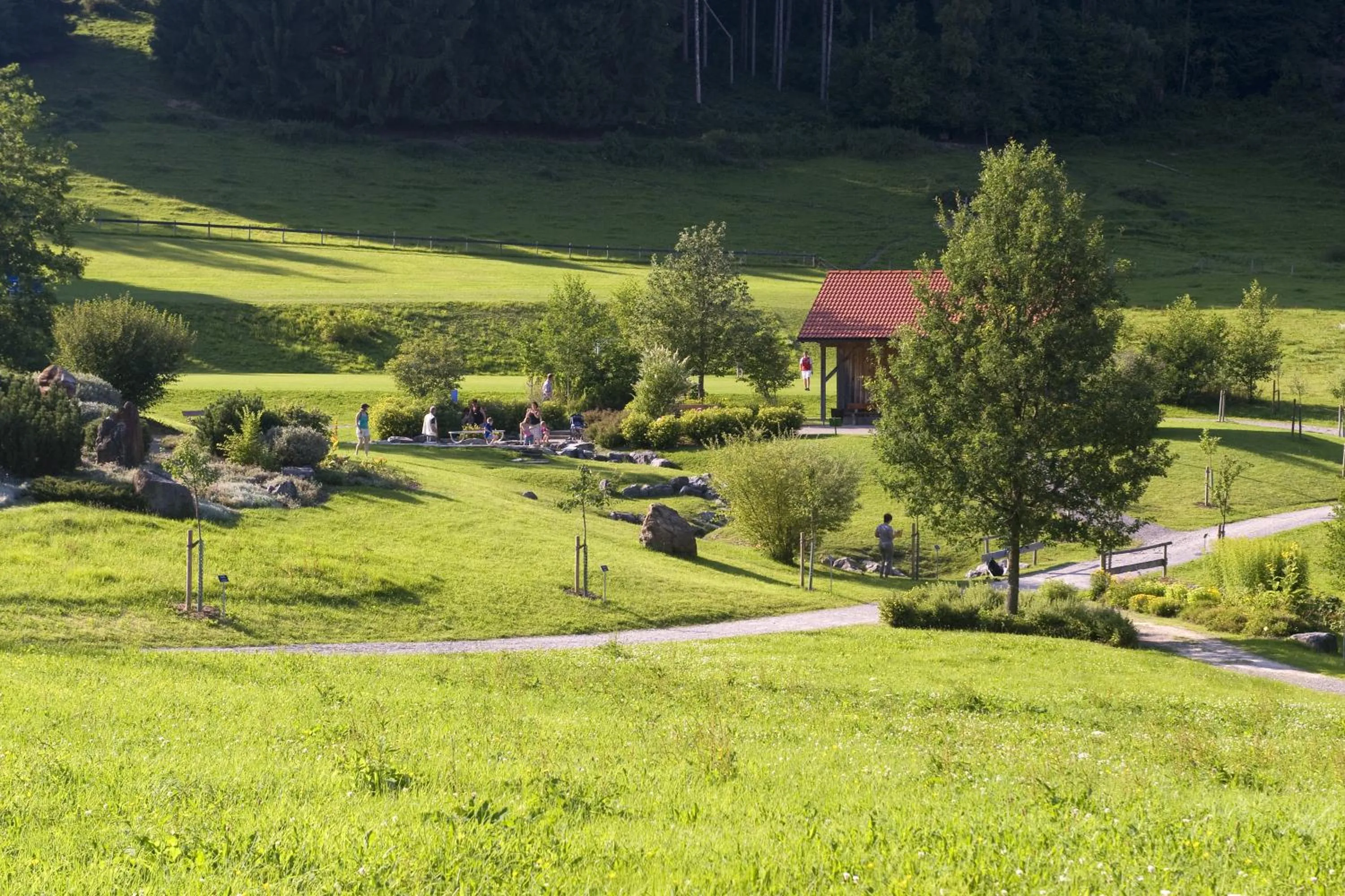 Area and facilities in Hotel Bergblick
