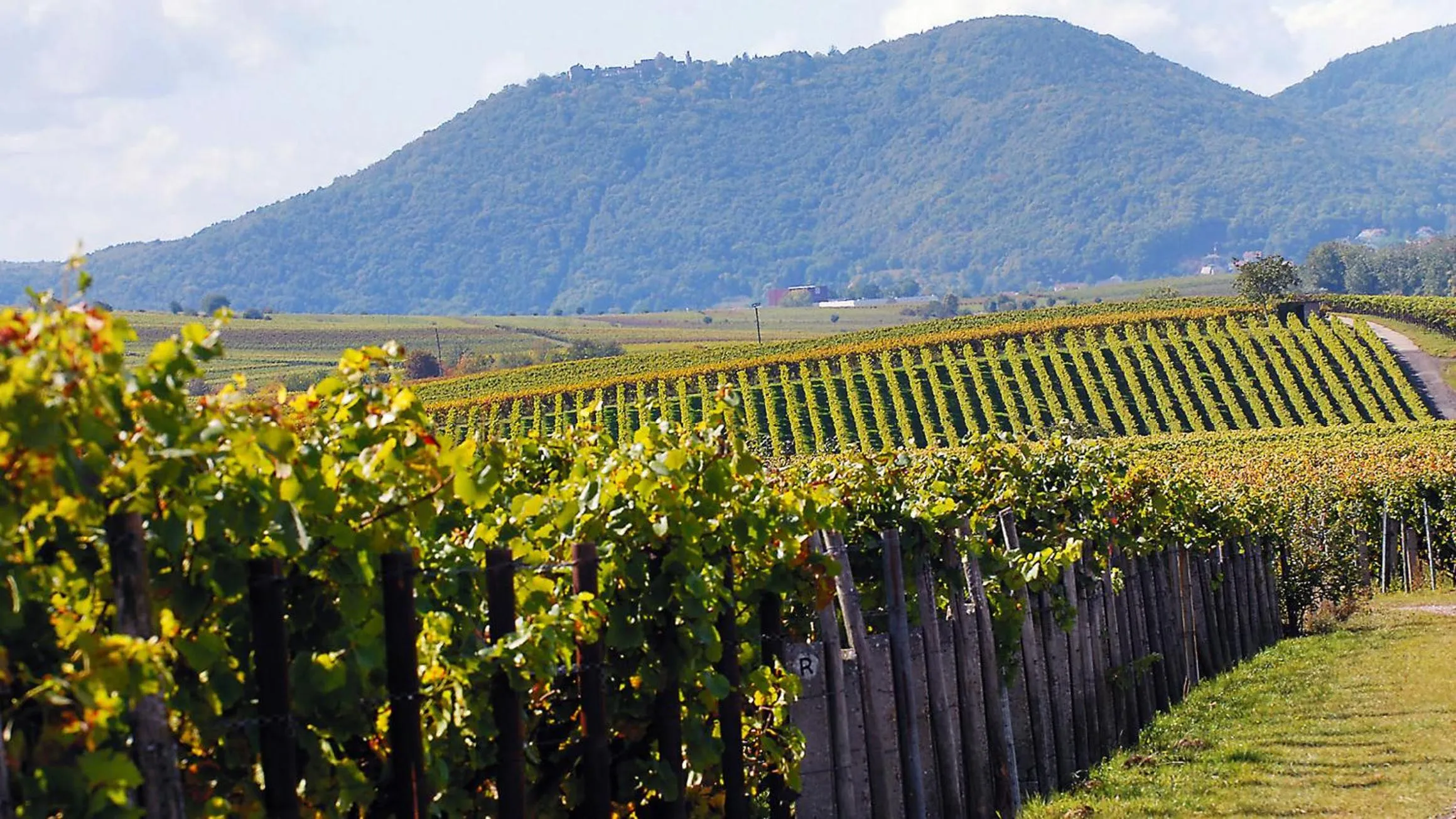 Hiking in Chalet Raabe