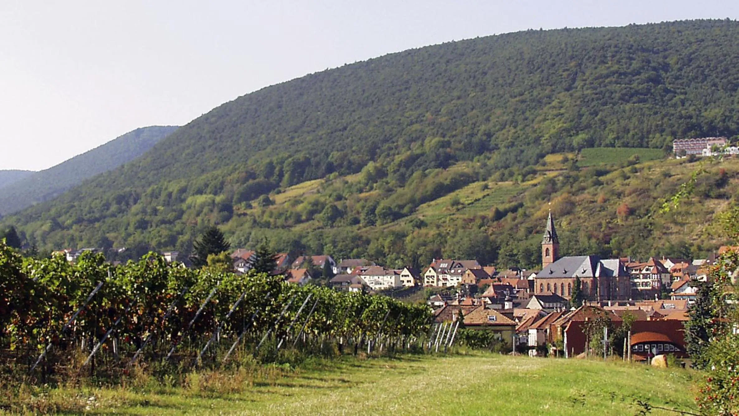 Natural landscape in Chalet Raabe