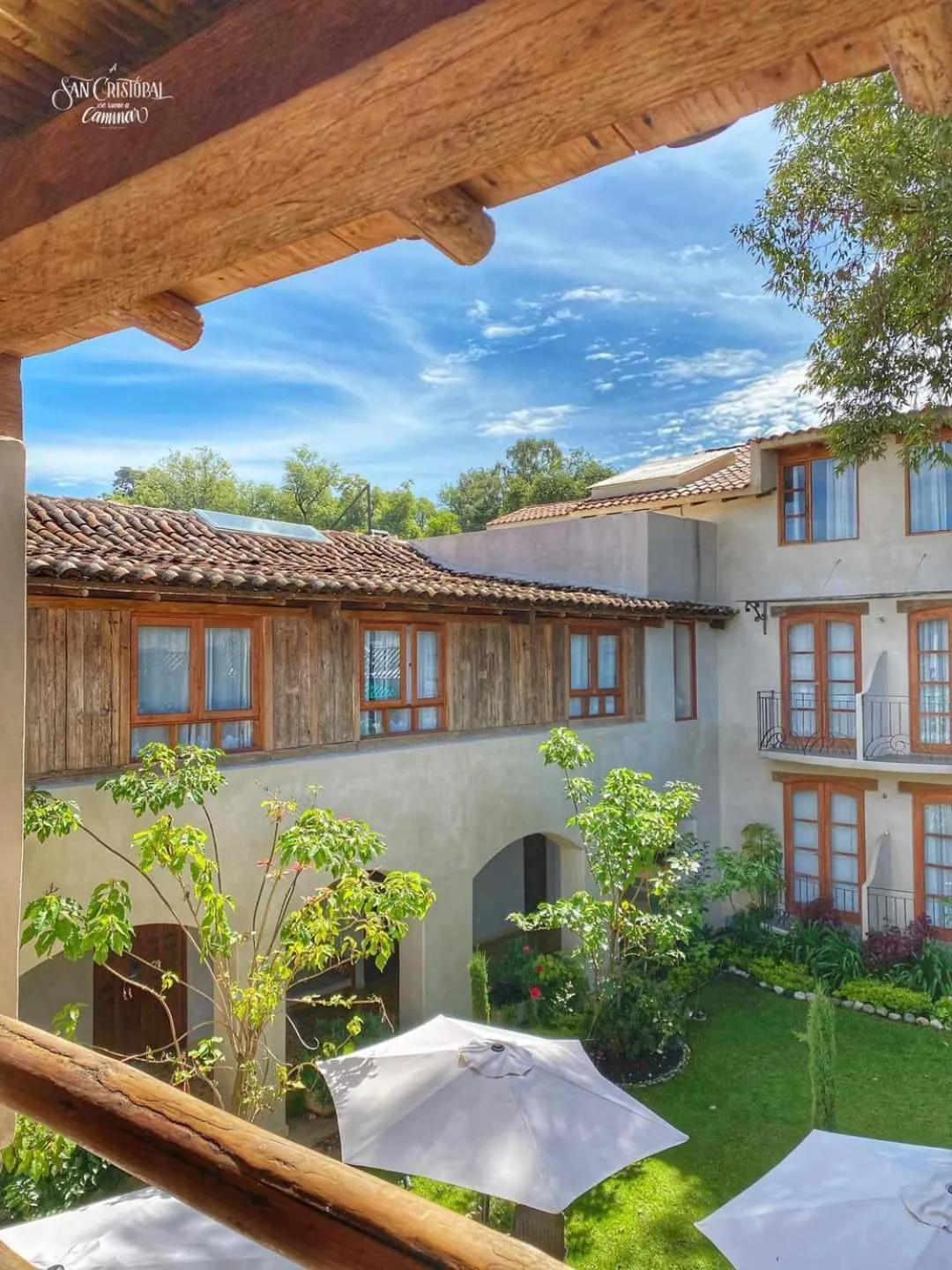 Garden in Hotel Junvay