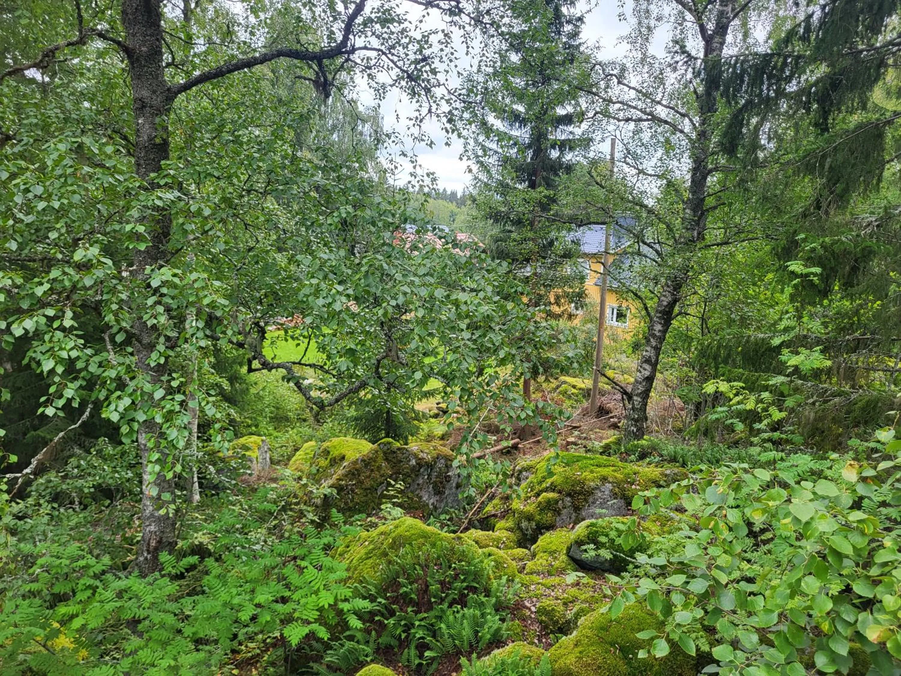 Natural landscape in 3 Bedroom Cottage with Sauna by the Sea