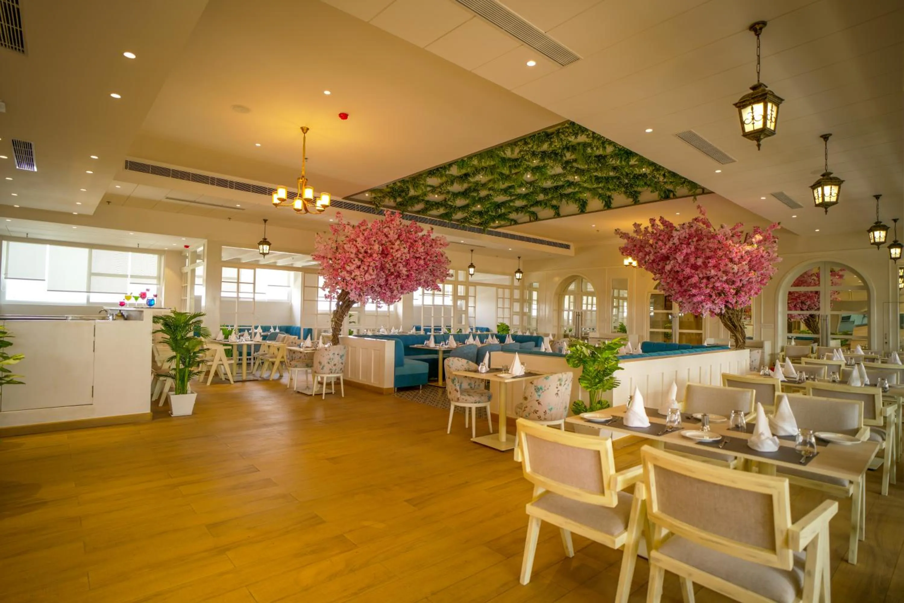 Restaurant/places to eat in Hotel Krinoscco