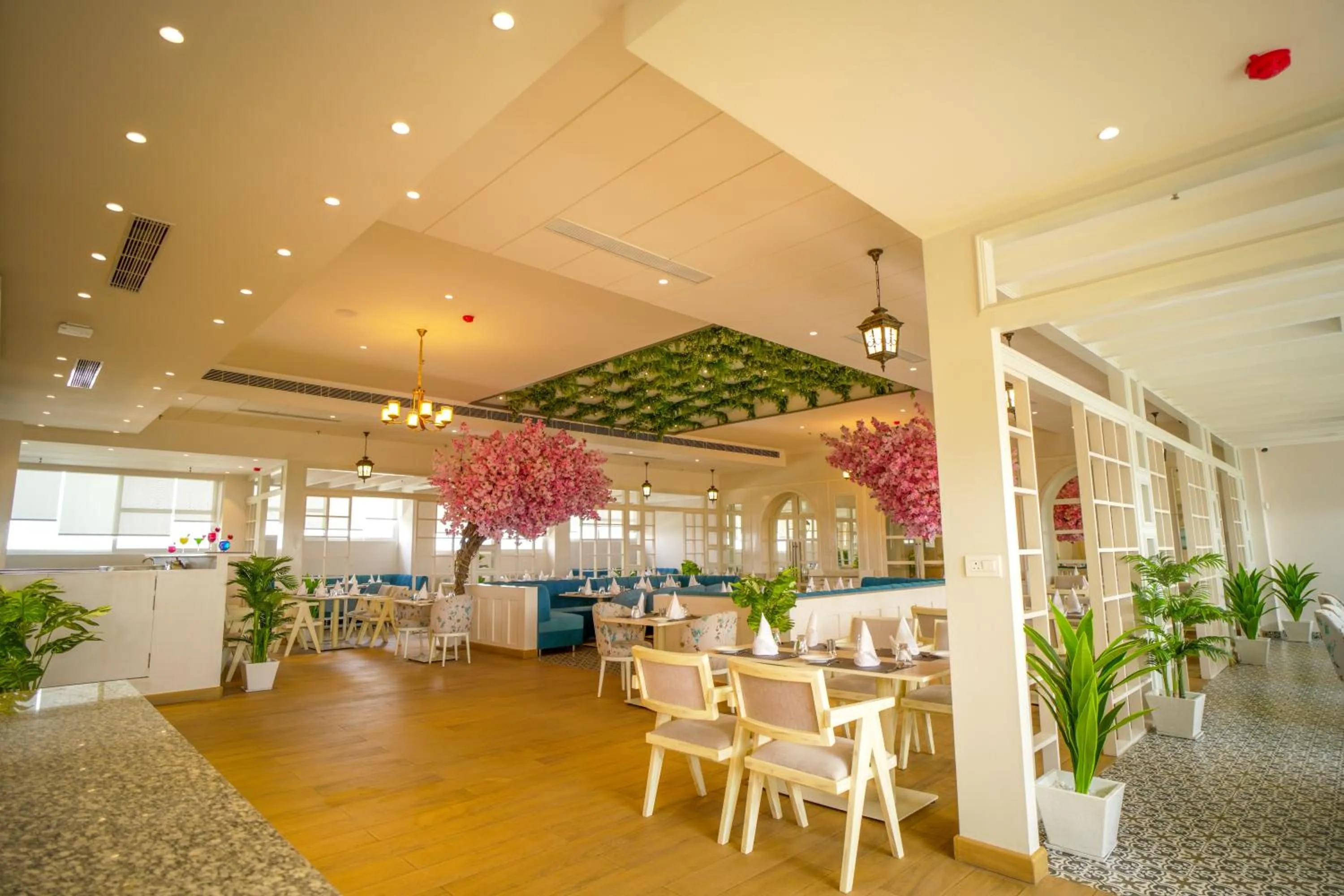 Restaurant/places to eat in Hotel Krinoscco