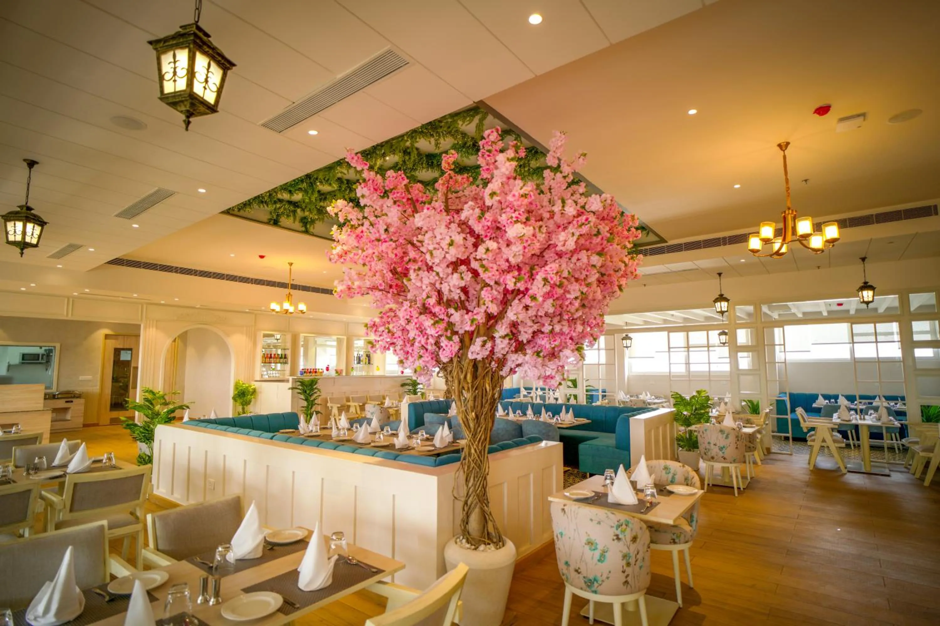 Restaurant/places to eat in Hotel Krinoscco