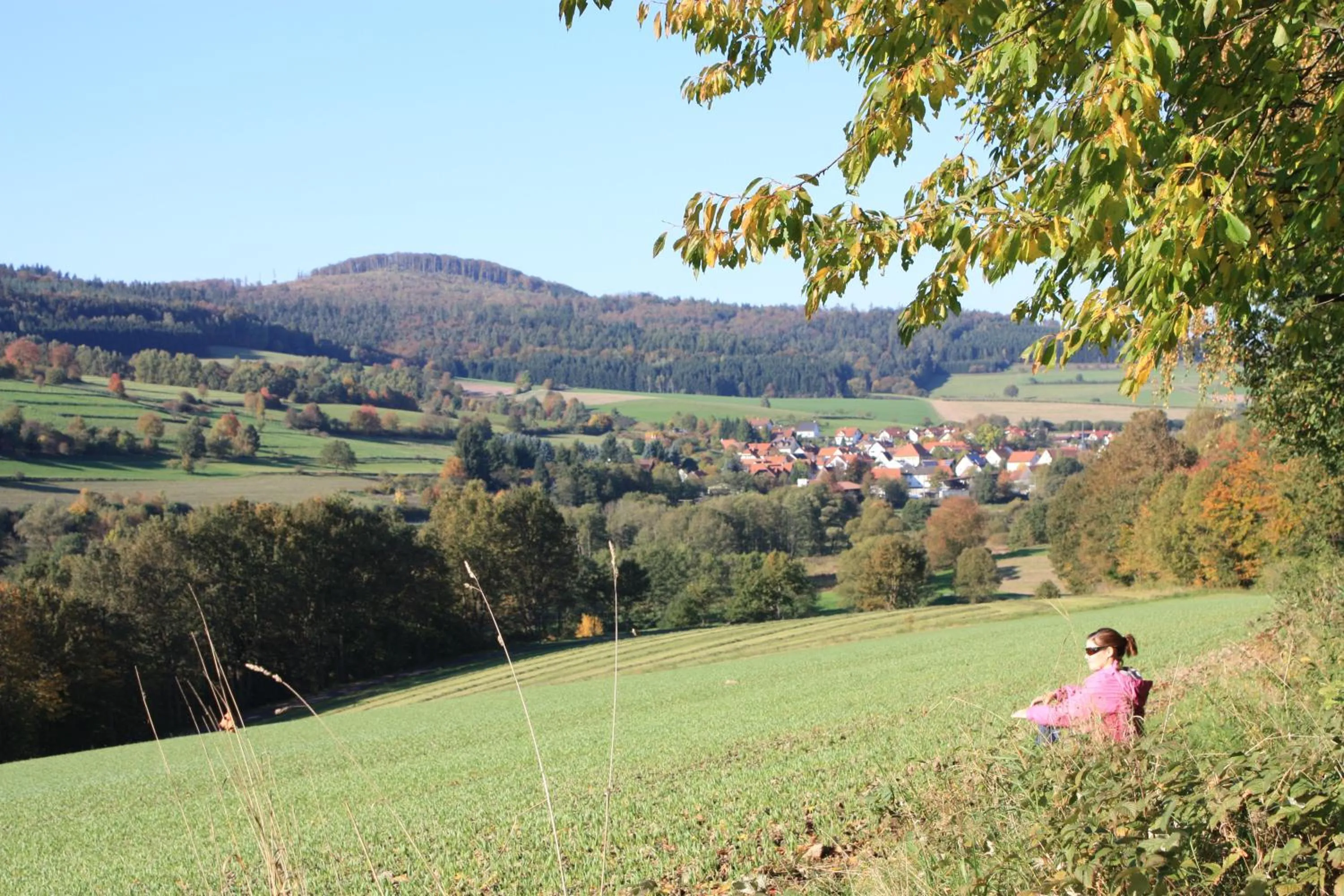 Hiking in Hotel Gasthof zum Biber