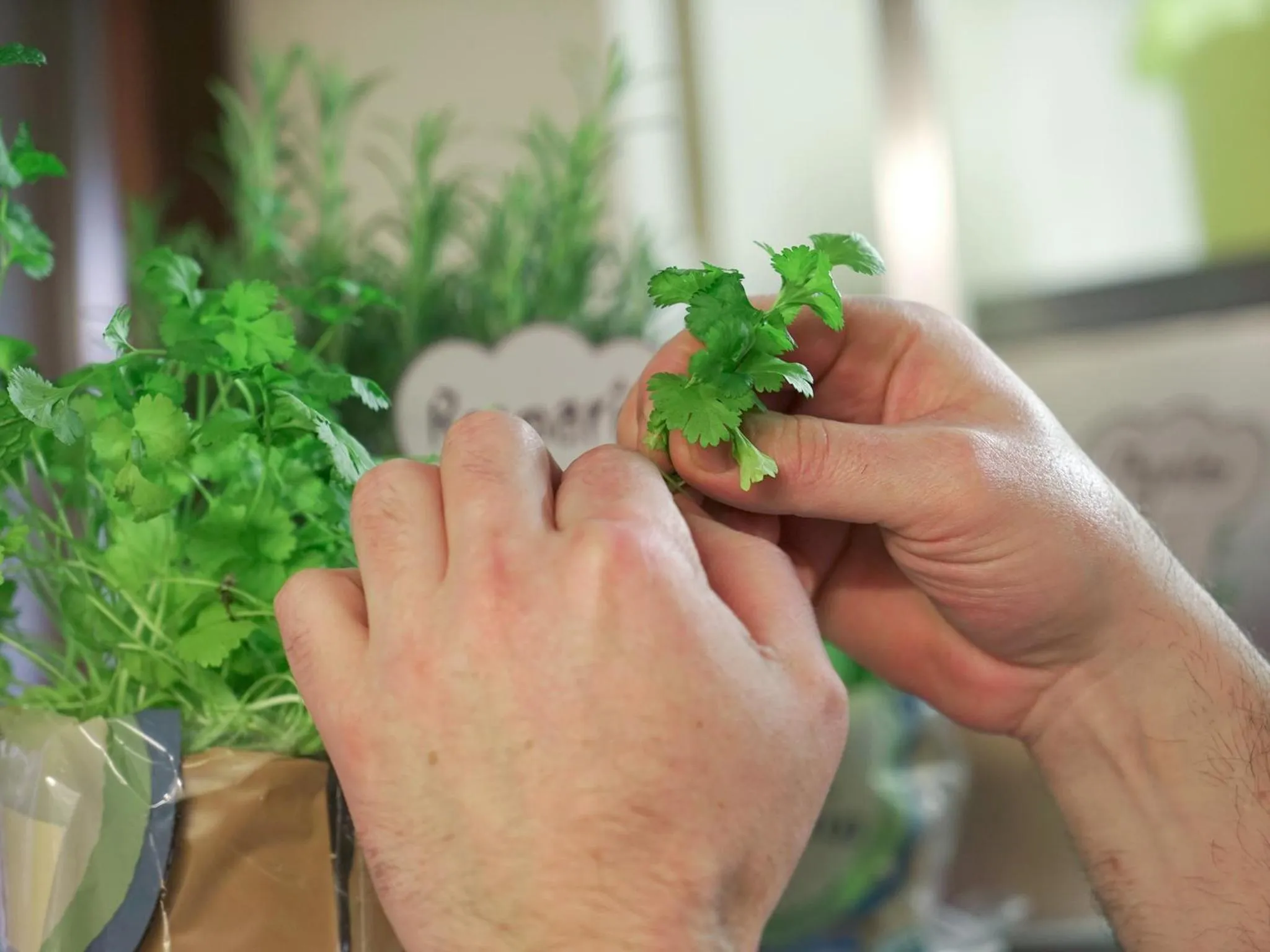 Food in Hotel Gasthof zum Biber