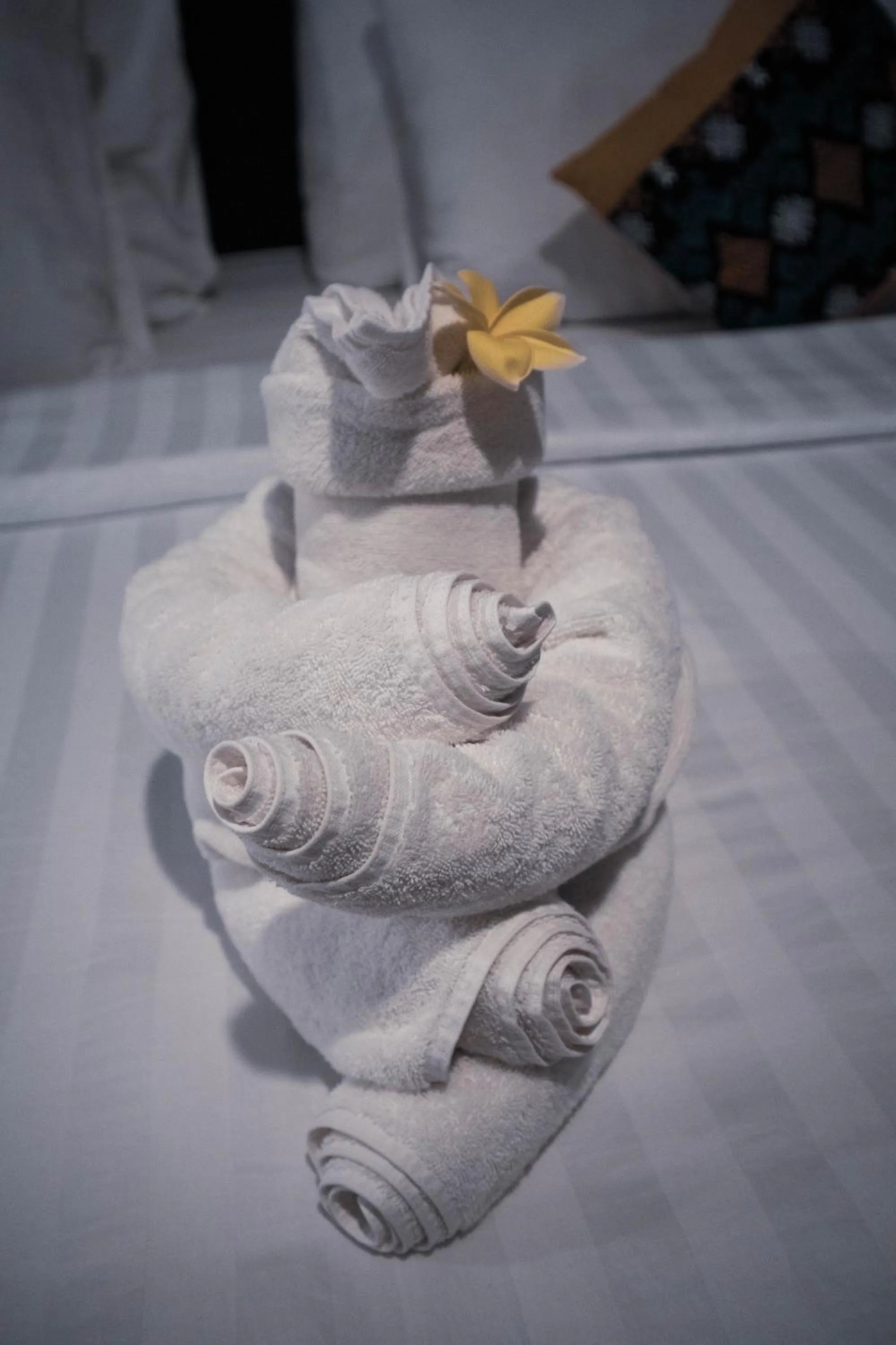 towels in Raja Hotel Kuta Mandalika Resort & Convention