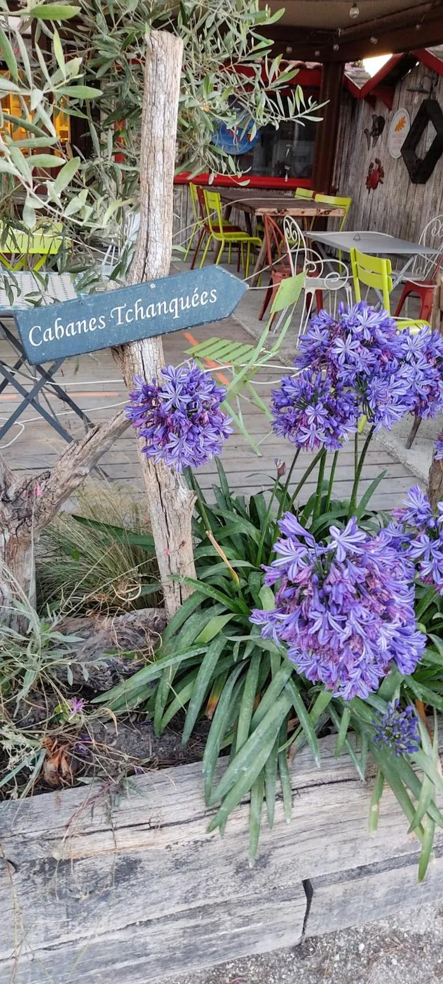 Natural landscape in La Cabane Bohème, Maison d'hôtes Bassin d'Arcachon
