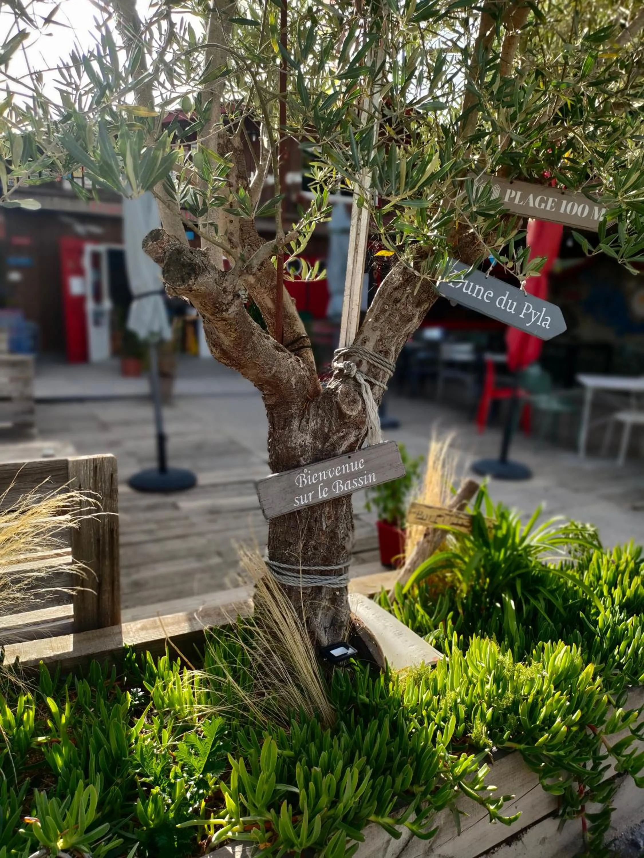 La Cabane Bohème, Maison d'hôtes Bassin d'Arcachon