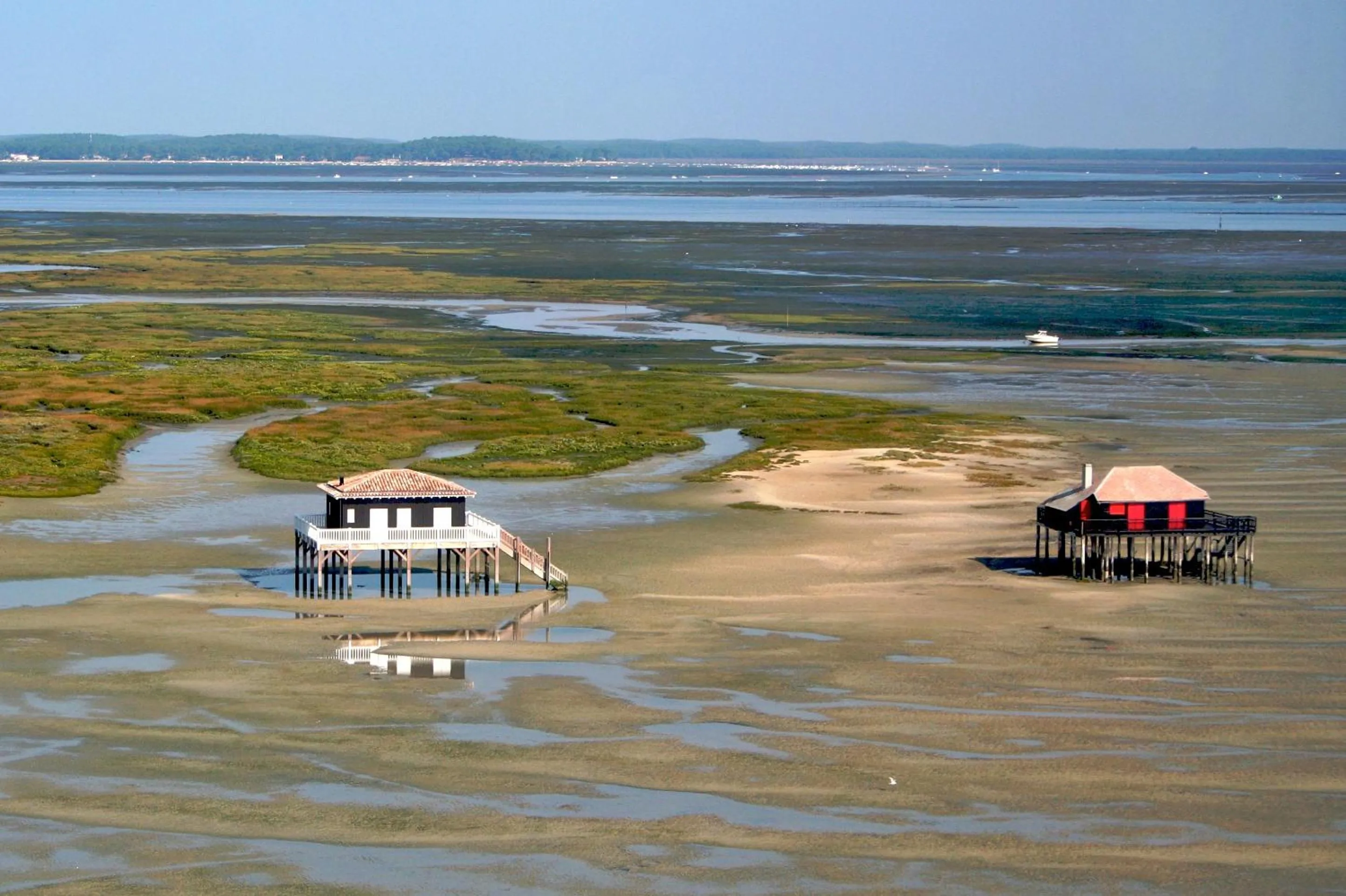 Natural landscape in La Cabane Bohème, Maison d'hôtes Bassin d'Arcachon