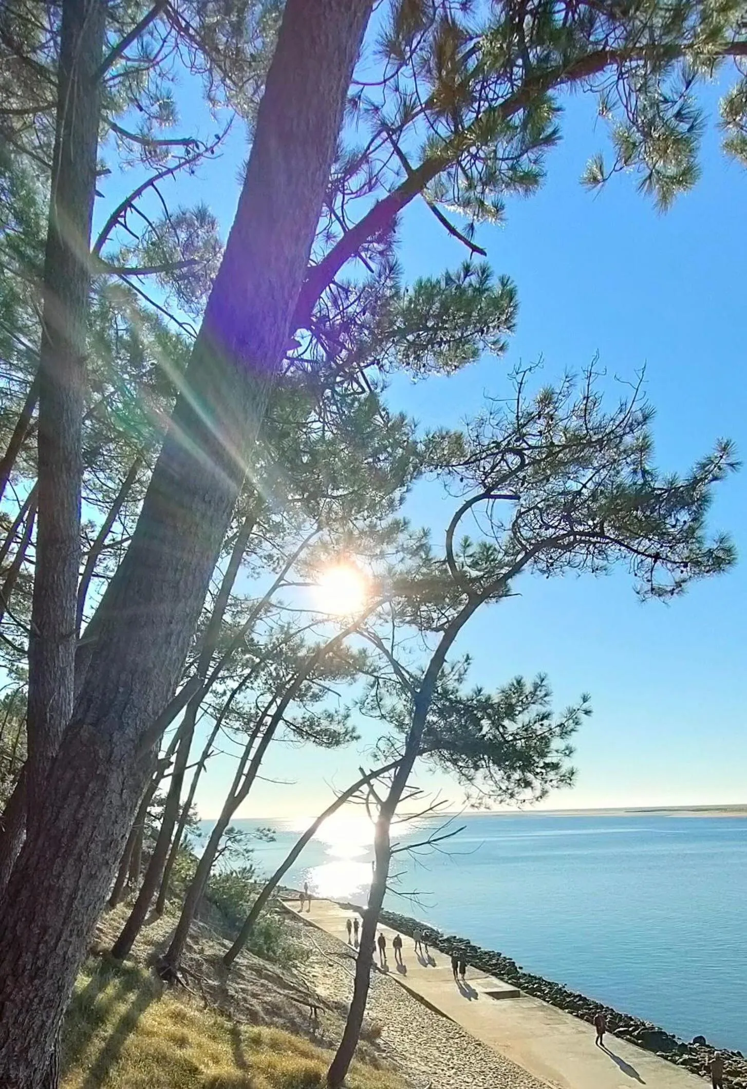 Beach in La Cabane Bohème, Maison d'hôtes Bassin d'Arcachon