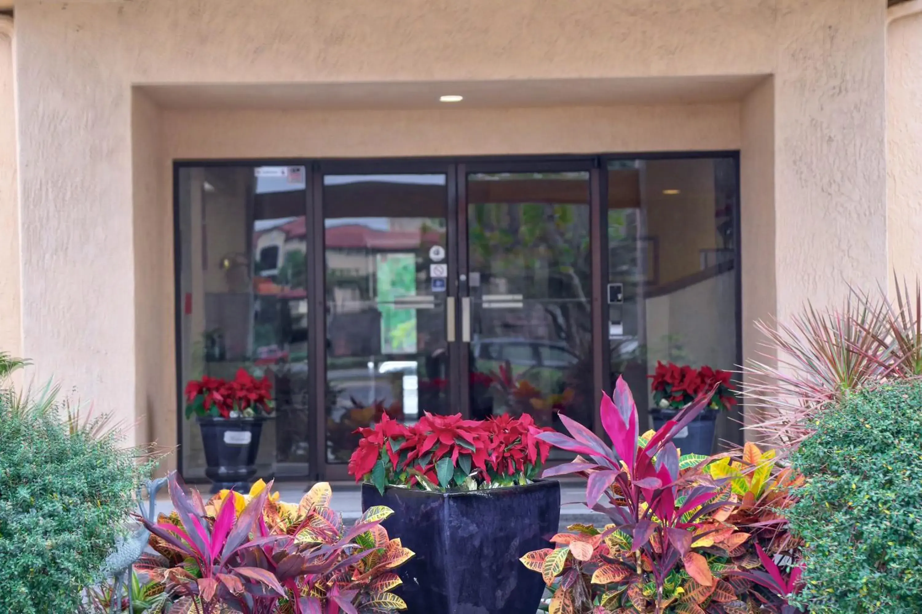 Garden view in Destiny Palms Hotel Maingate West Garden view in Destiny Palms Hotel Maingate West