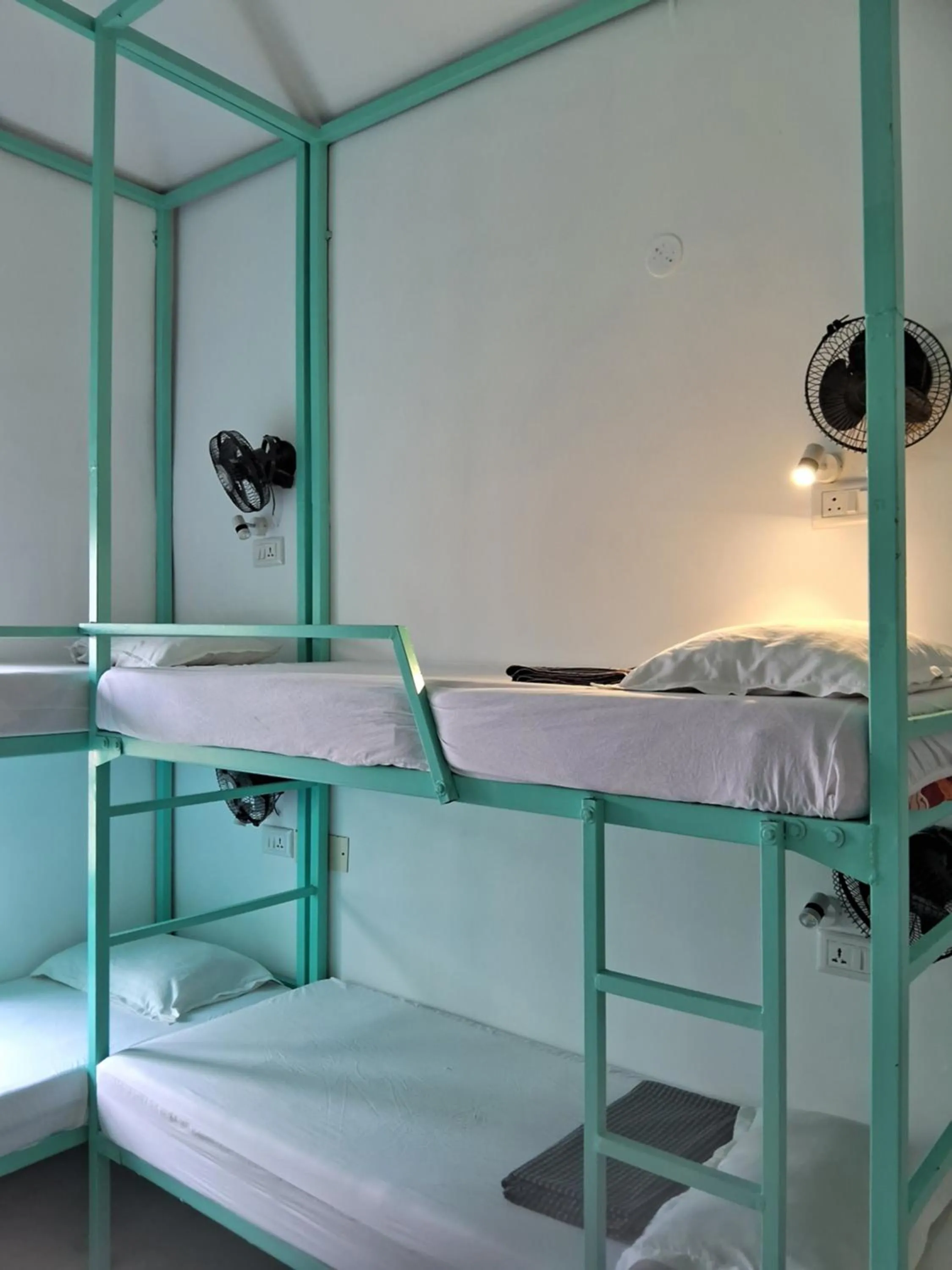 Molly's Hostel