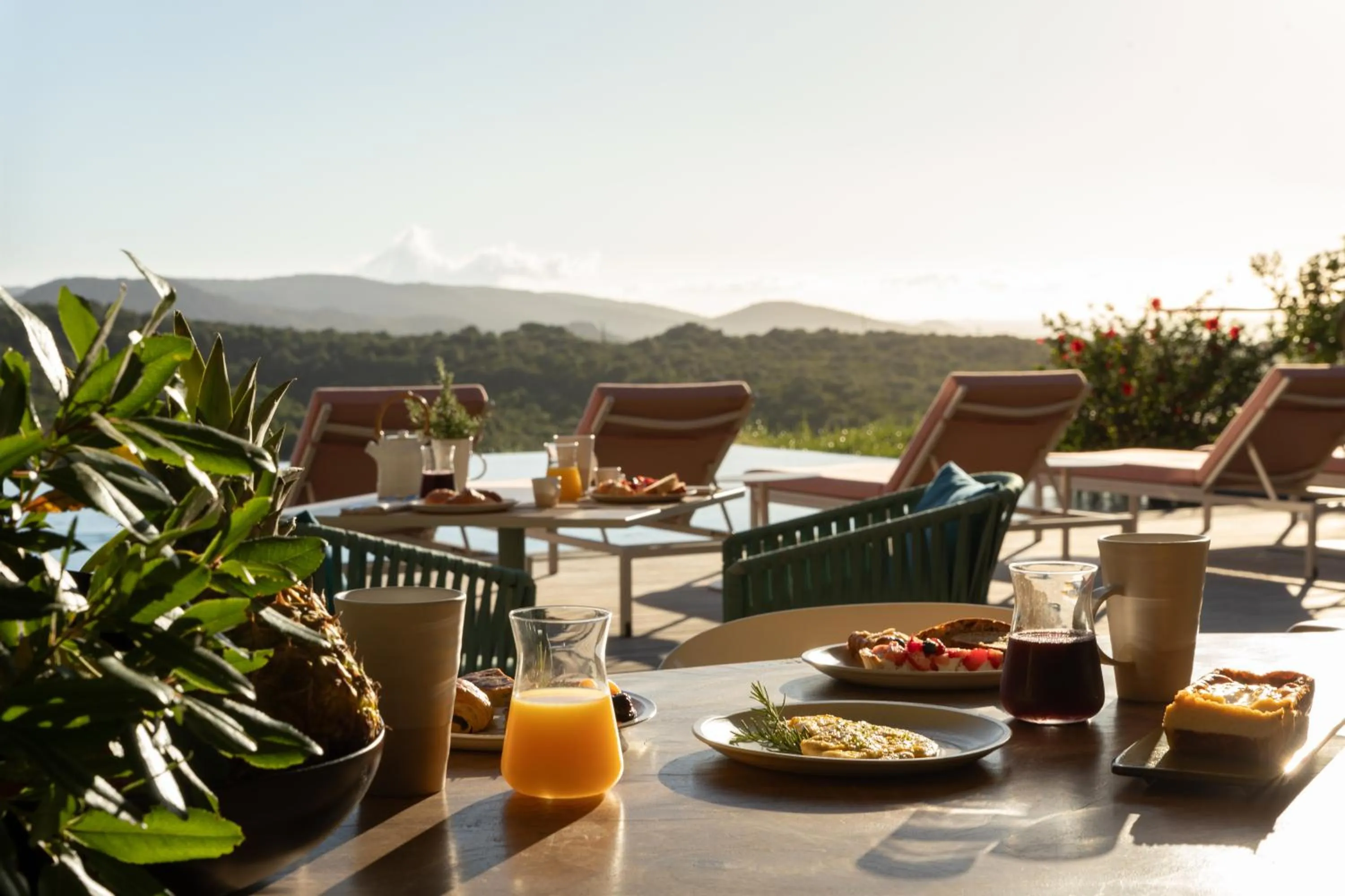 Balcony/Terrace in Hôtel Version Maquis Santa Manza