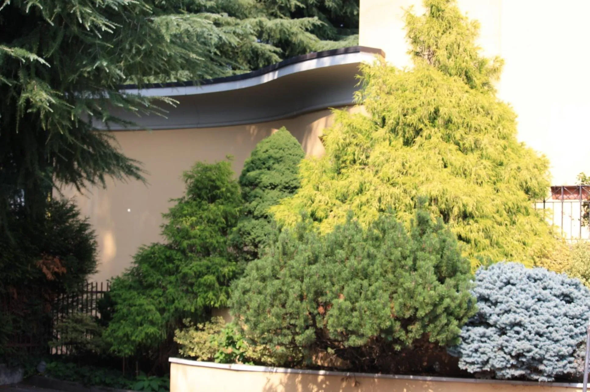 Garden view in Polo Hotel