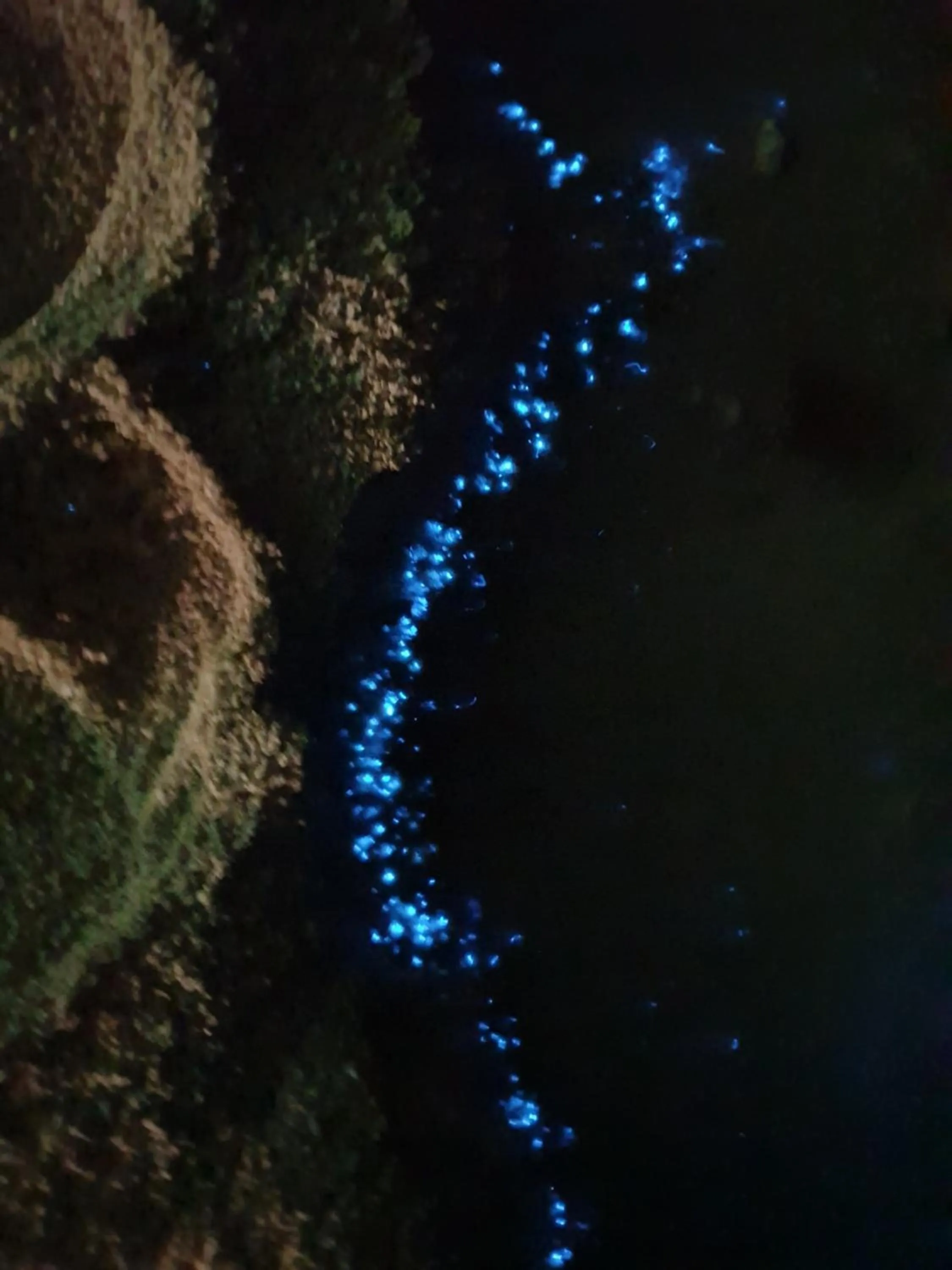 Island Luxury Boutique Hotel - Fulhadhoo