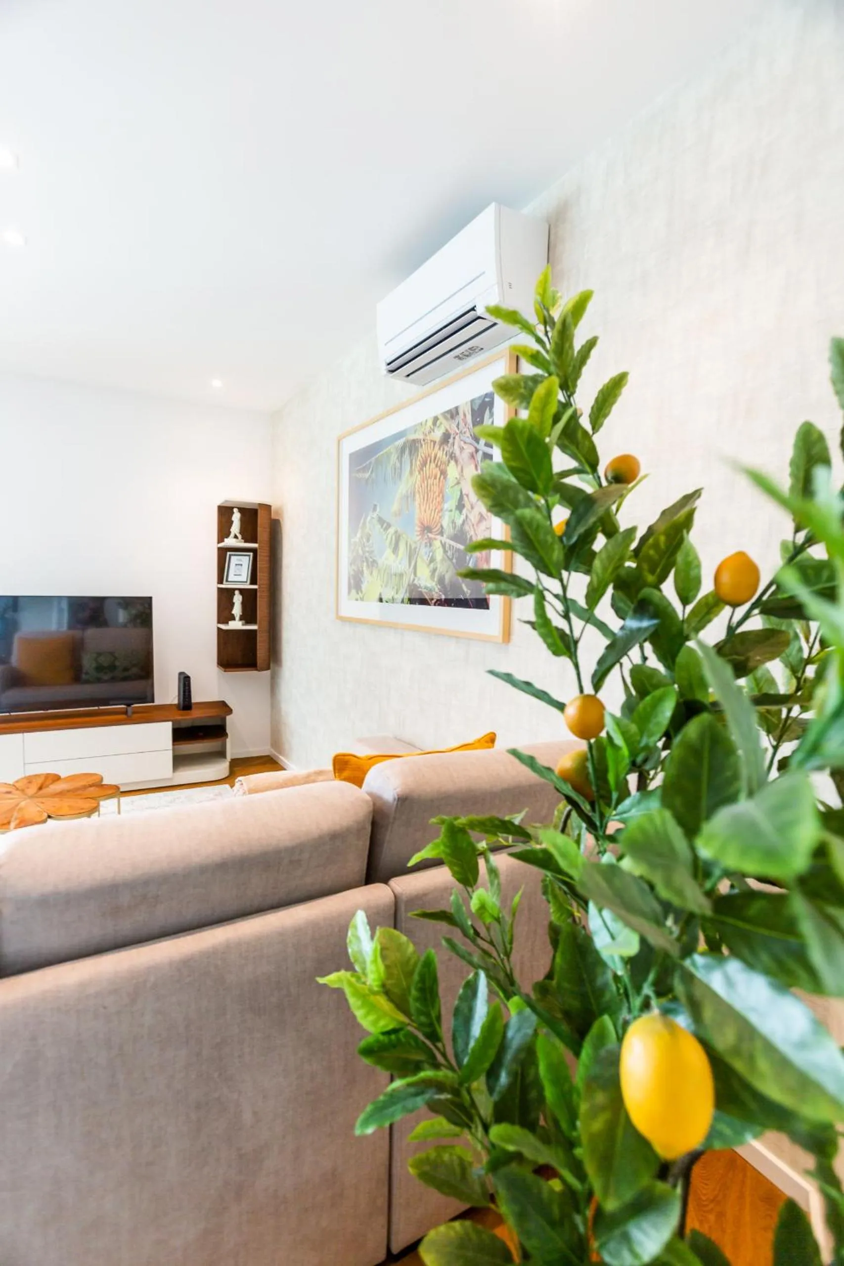 Communal lounge/ TV room in Banana Lodge by Atlantic Holiday
