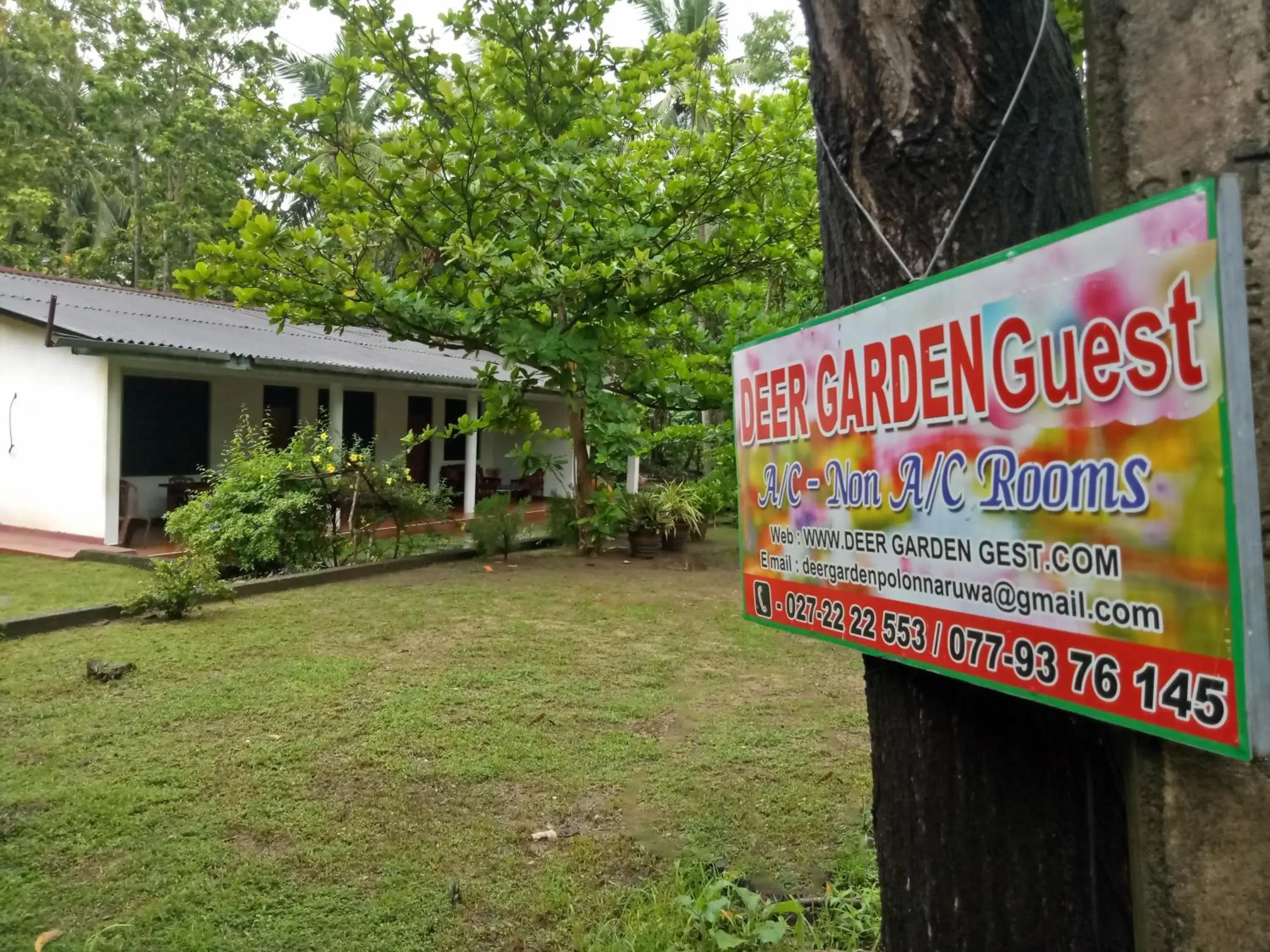 Property building in Deer Garden Guest Property building in Deer Garden Guest