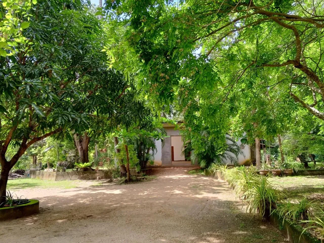 Spring in Deer Garden Guest