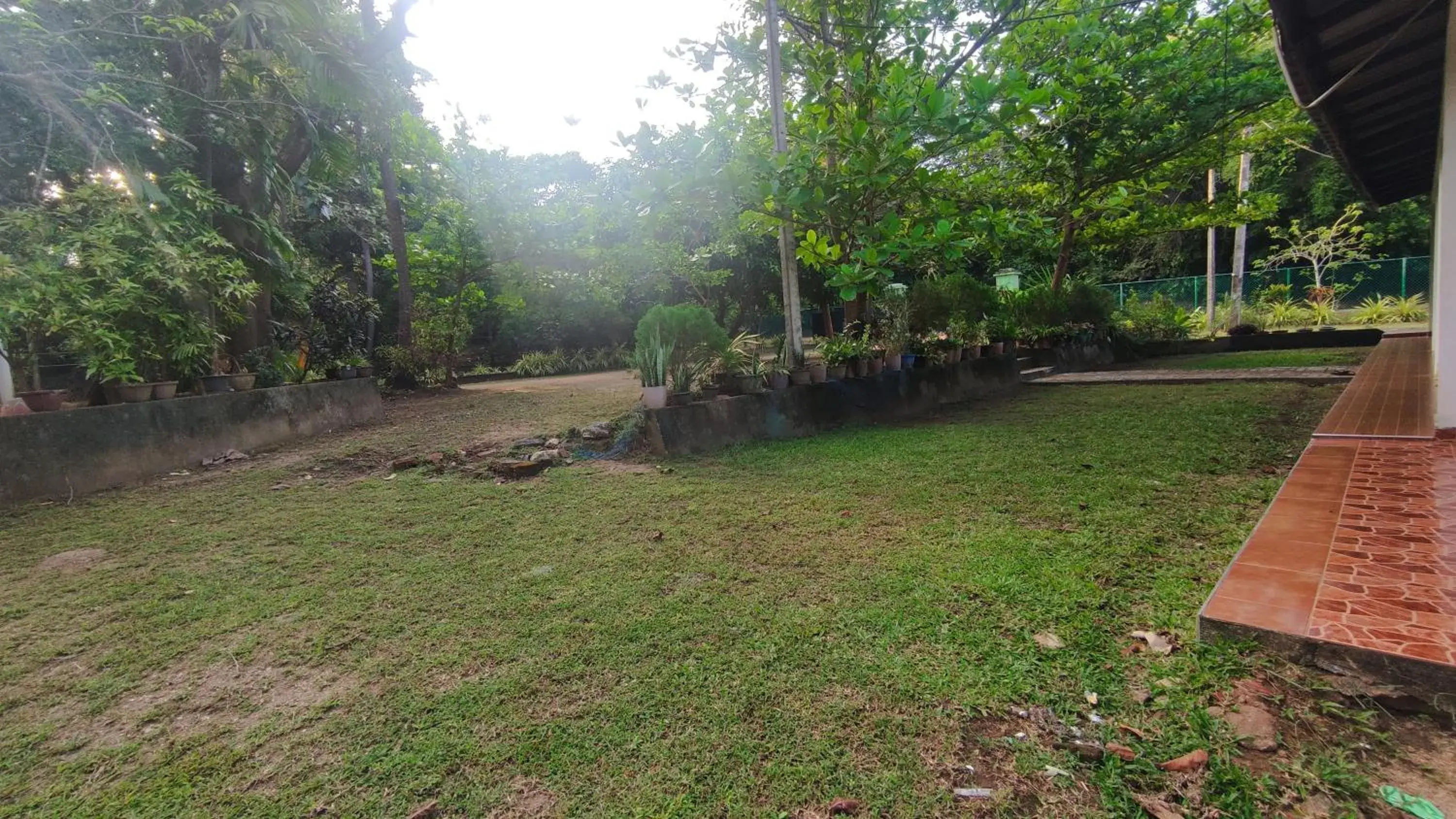 View (from property/room) in Deer Garden Guest View (from property/room) in Deer Garden Guest