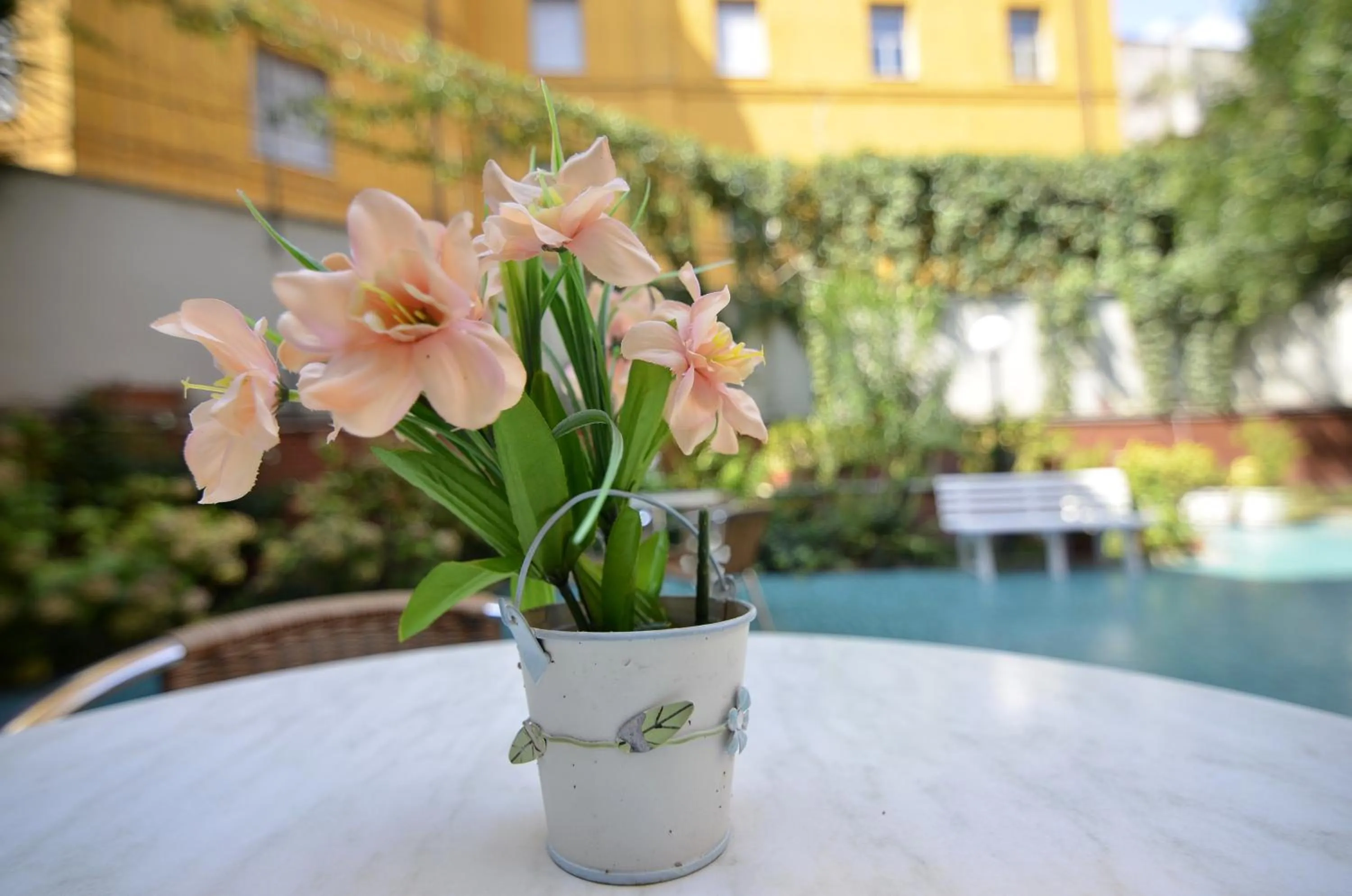 Garden in Hotel Tirreno
