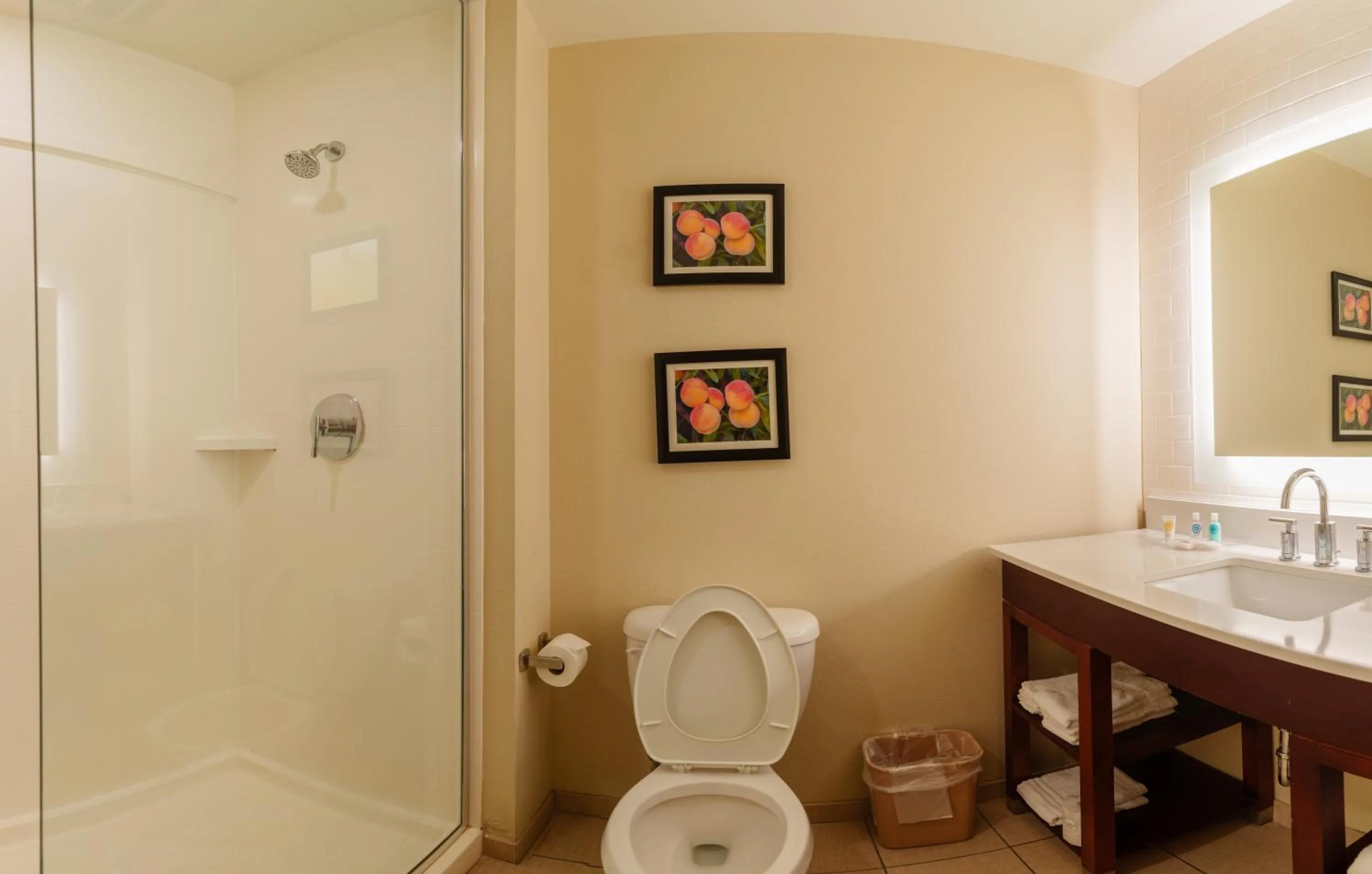 Shower in Comfort Suites