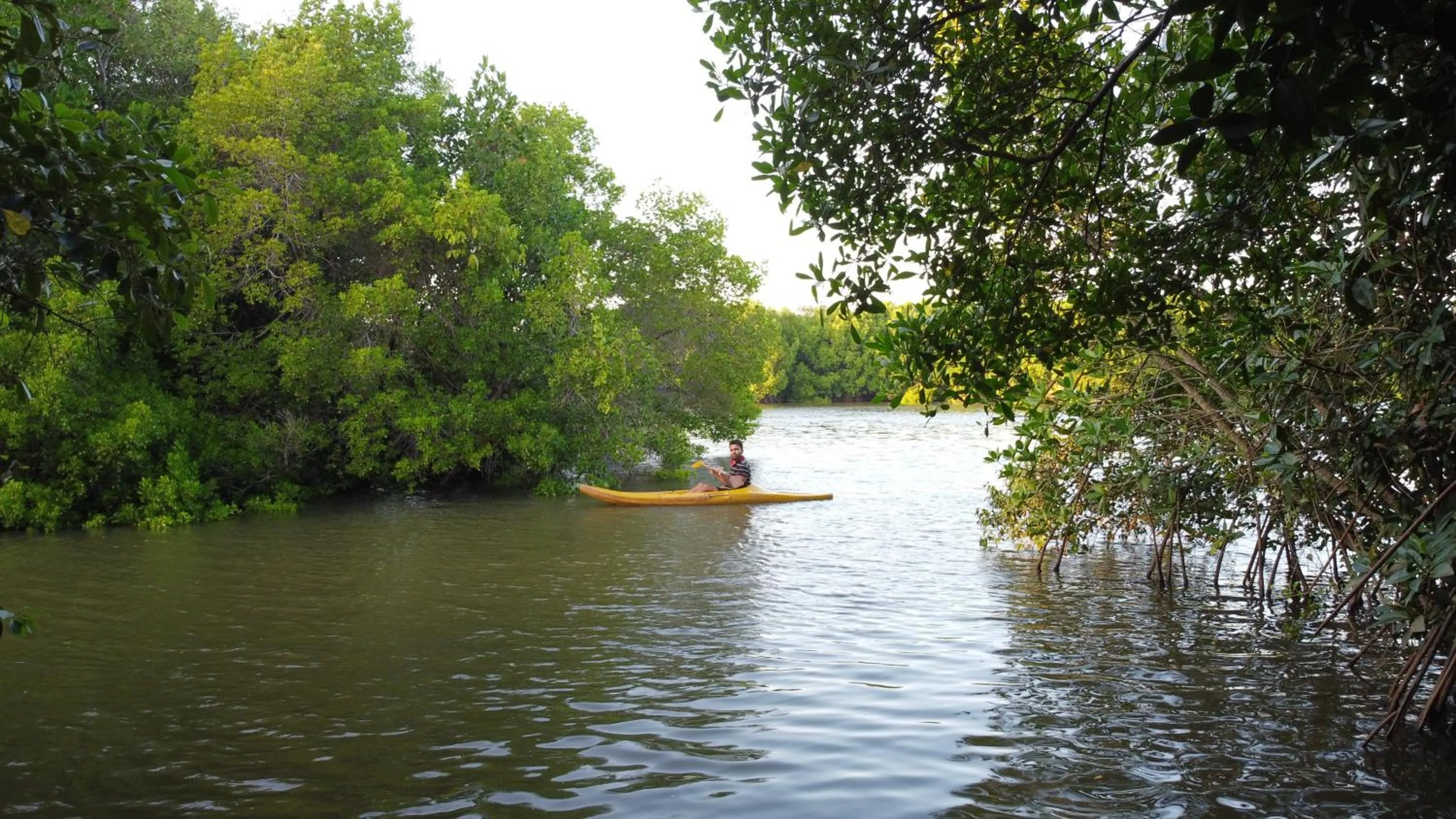 Marakolliya Beach Resort