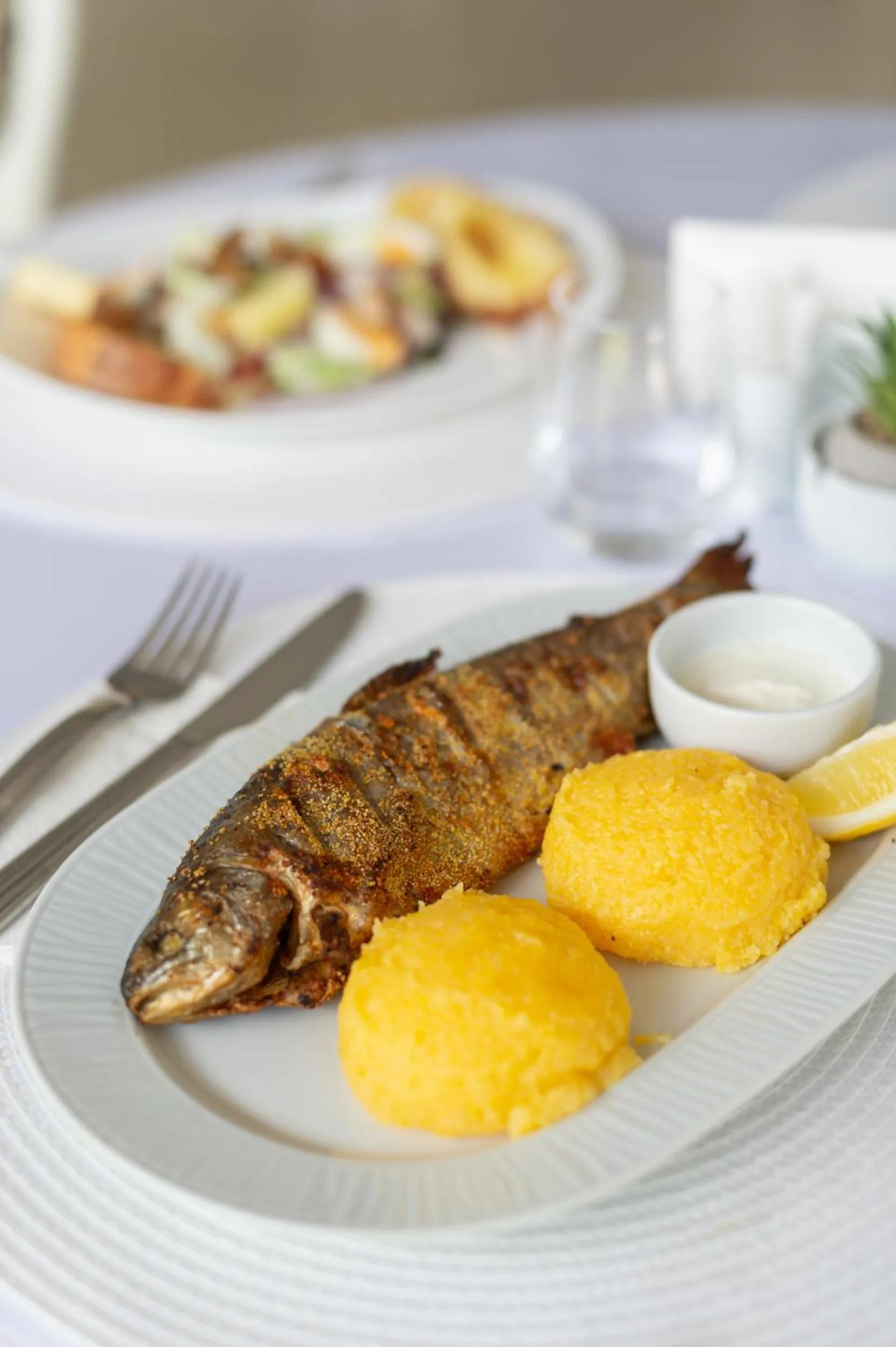 Restaurant/places to eat in Complex Pescăresc Gura Repezii Borșa