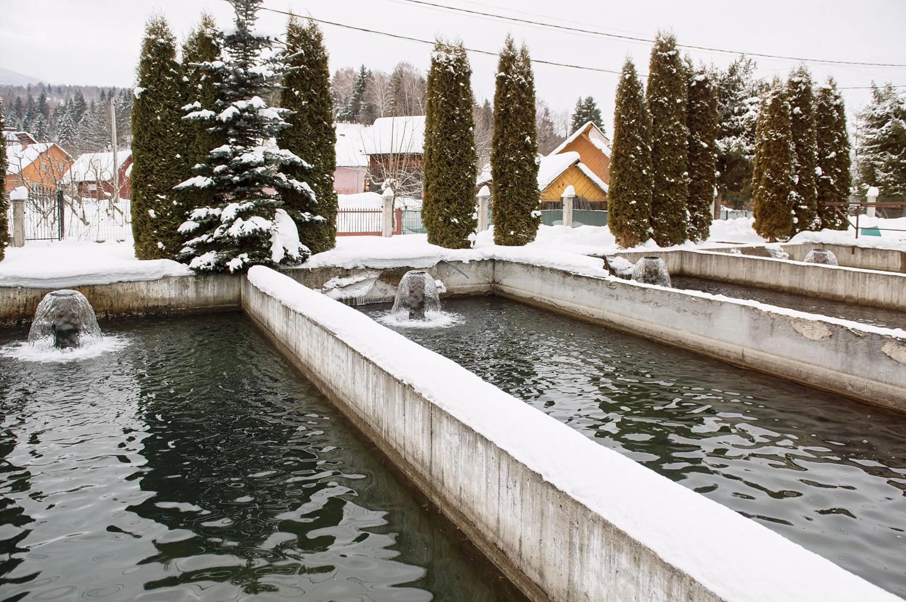 Natural landscape in Complex Pescăresc Gura Repezii Borșa