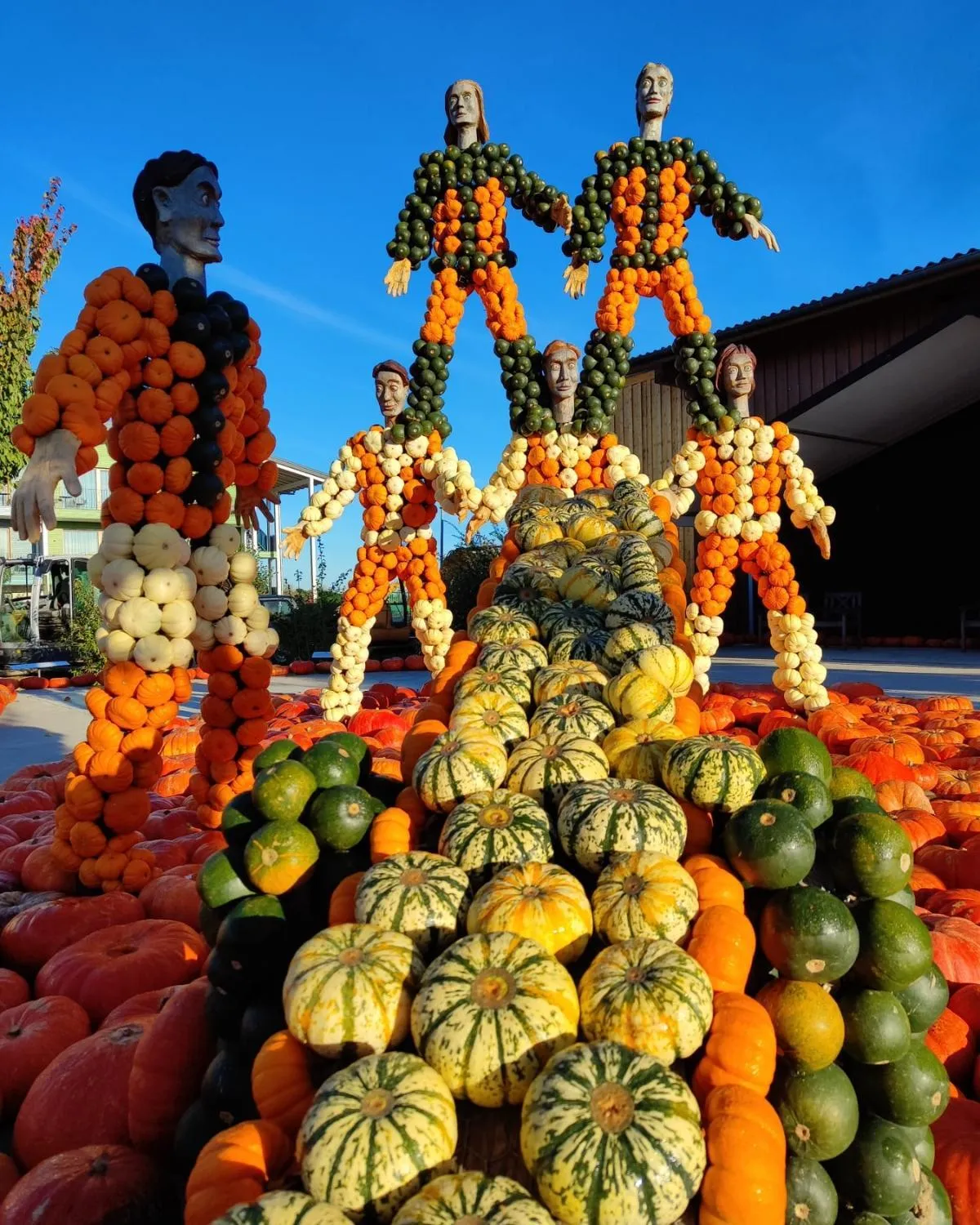 Area and facilities in Landhotel Bohrerhof