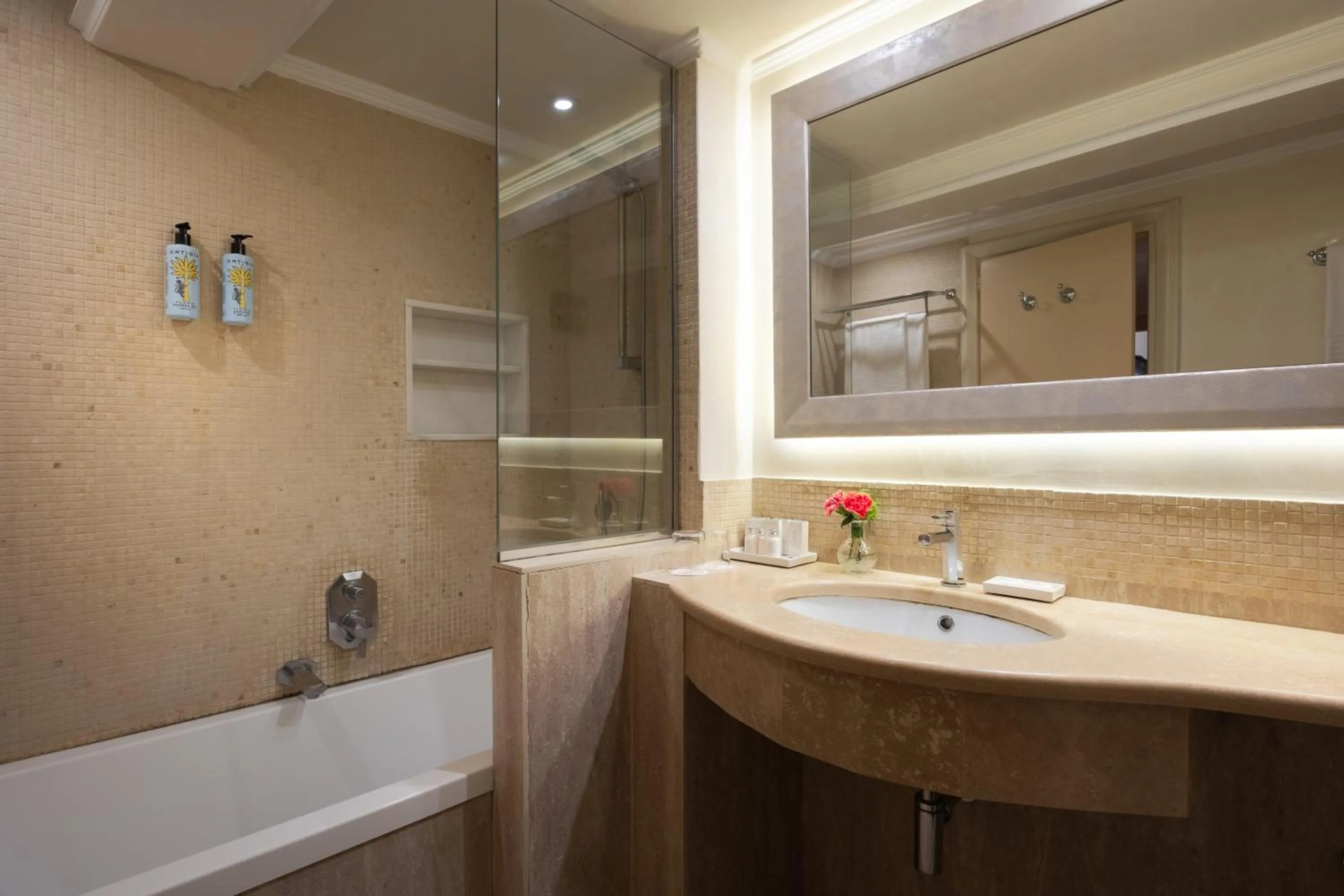 Shower in Hotel Forum