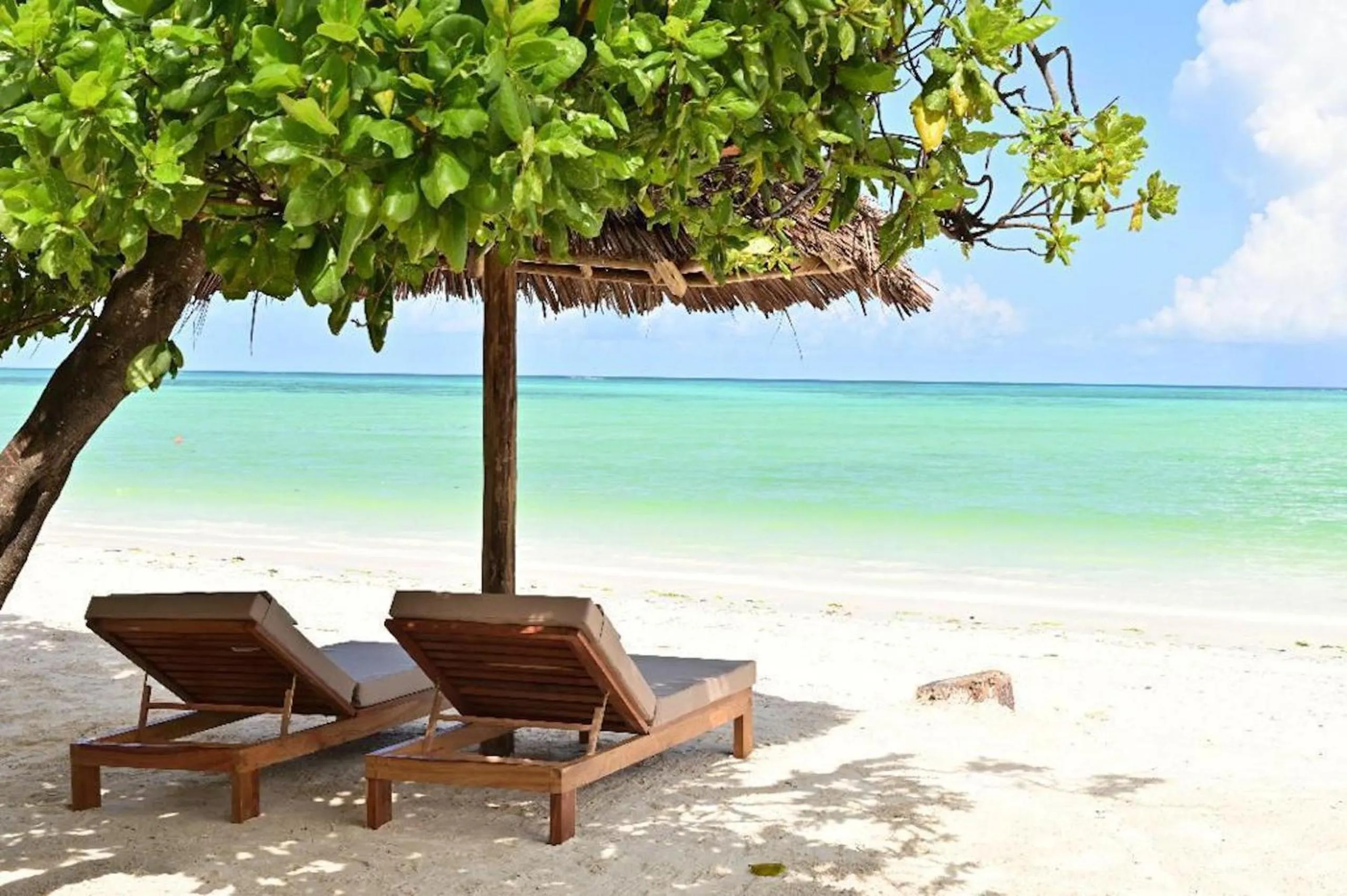 Beach in NDAME Paje Hotel