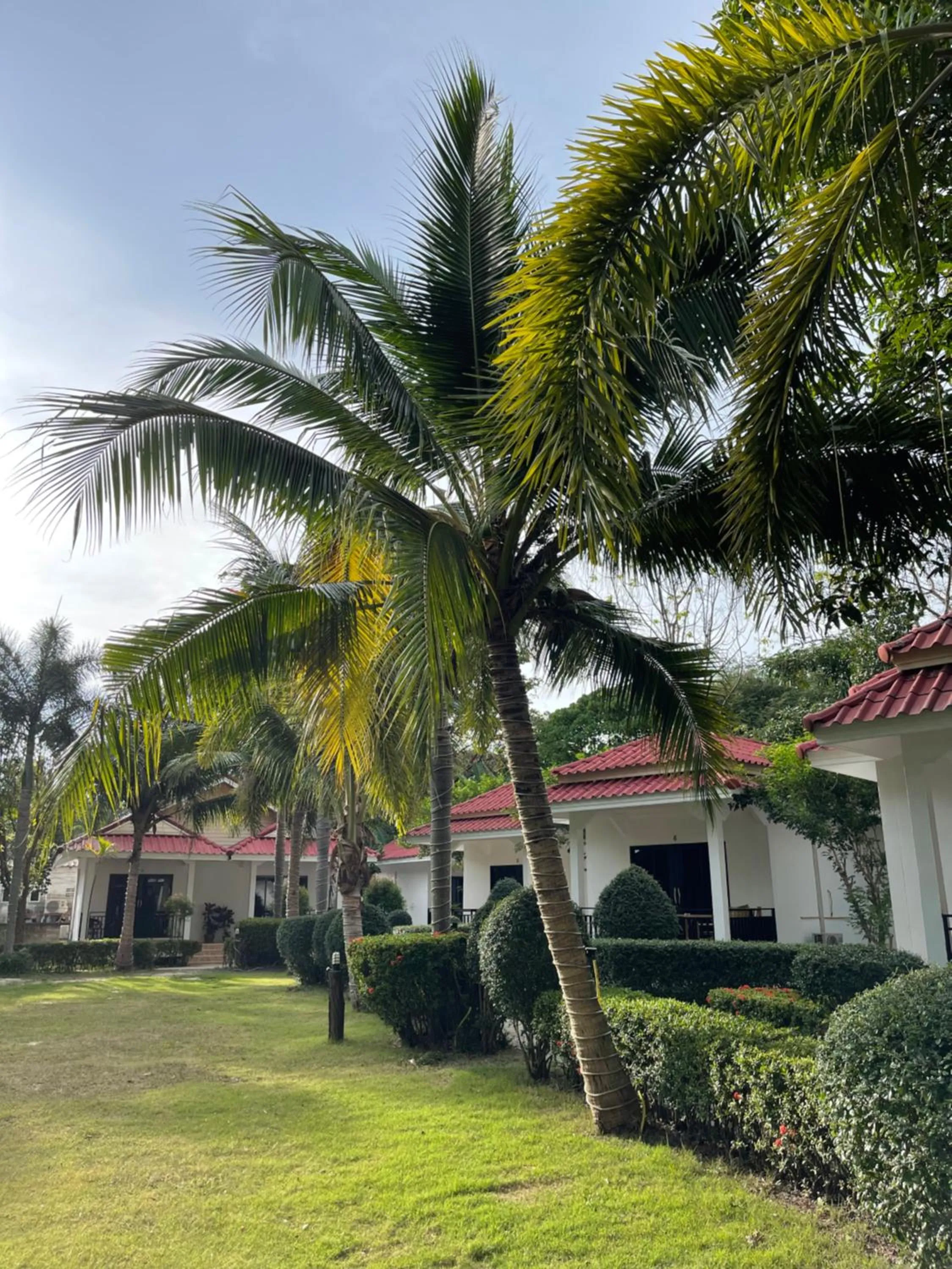 Garden in Matcha Lanta Resort