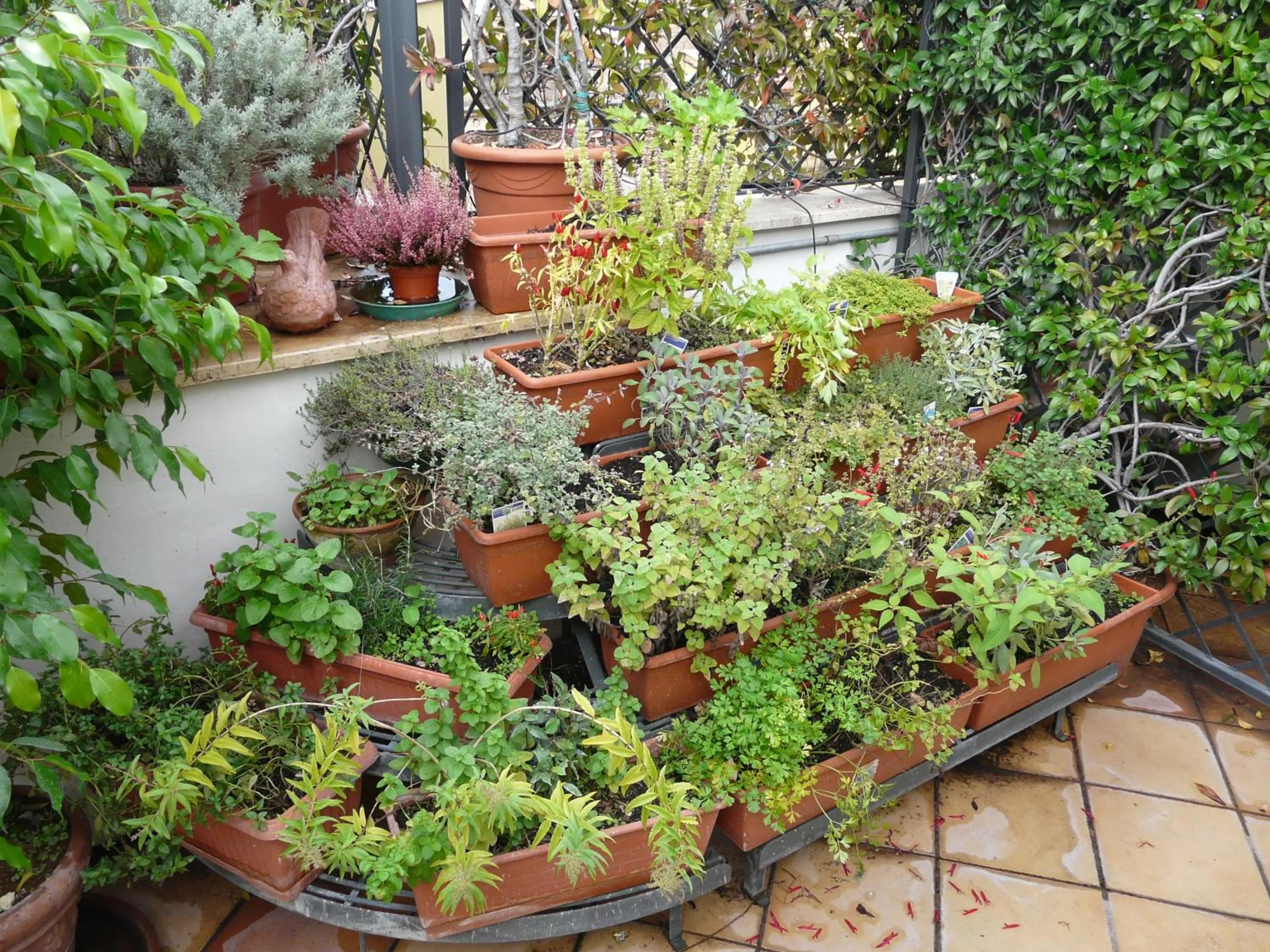 Balcony/Terrace in Hotel Isa