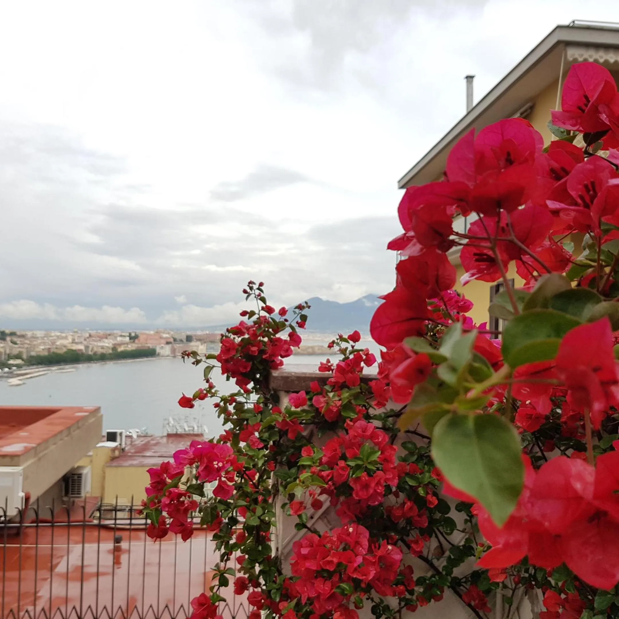 Garden in BW Signature Collection Hotel Paradiso