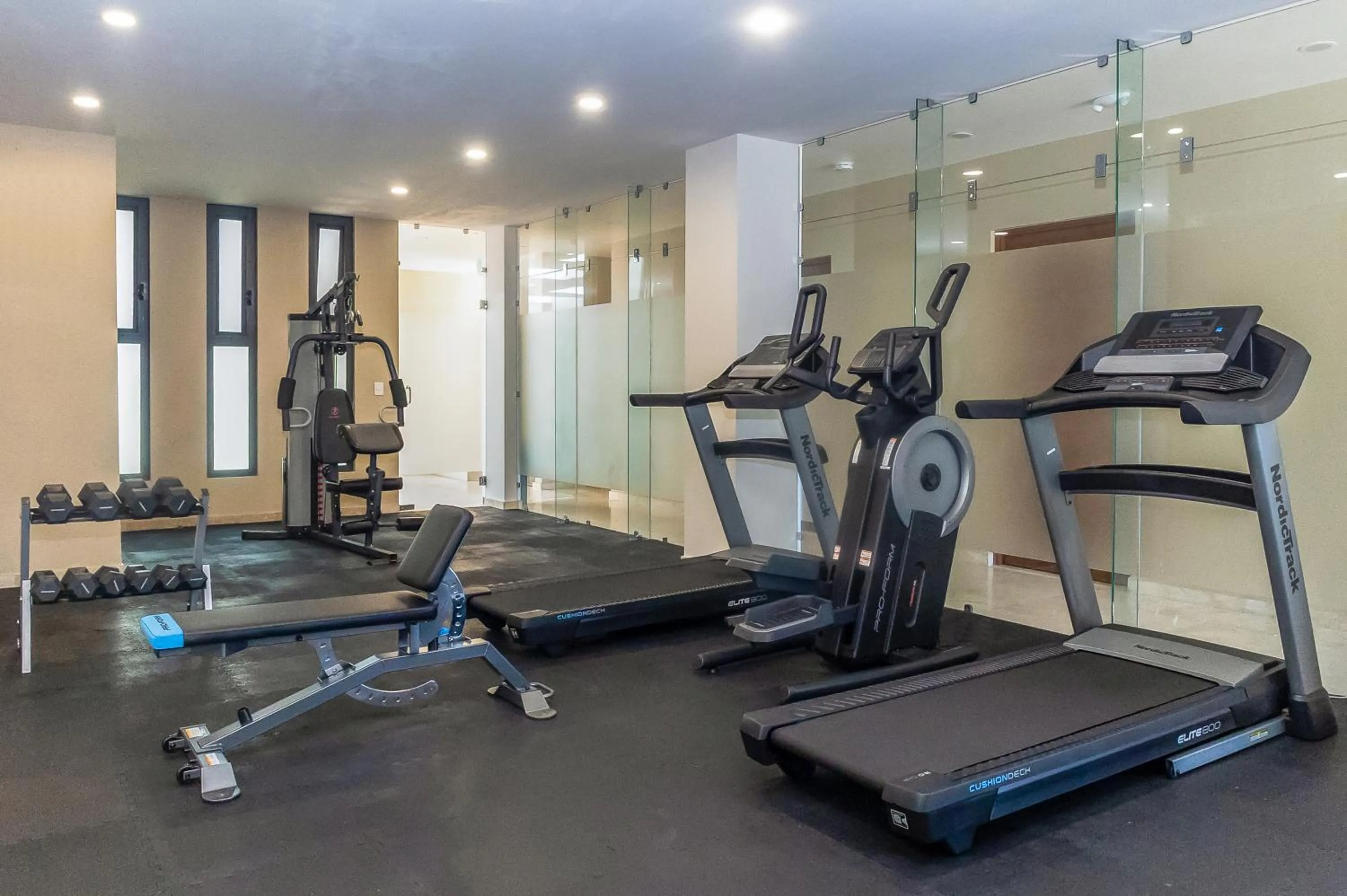 Fitness centre/facilities in Gamma Los Cabos