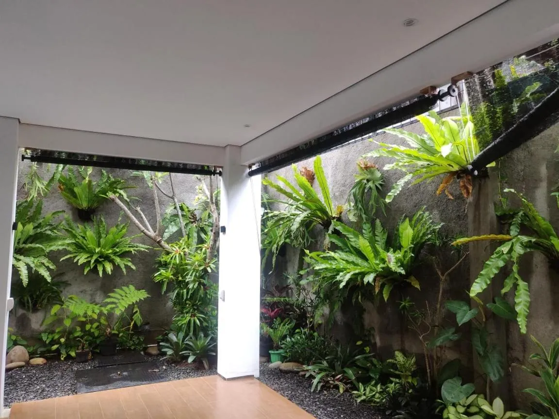 Garden in Rion Hostel Bogor